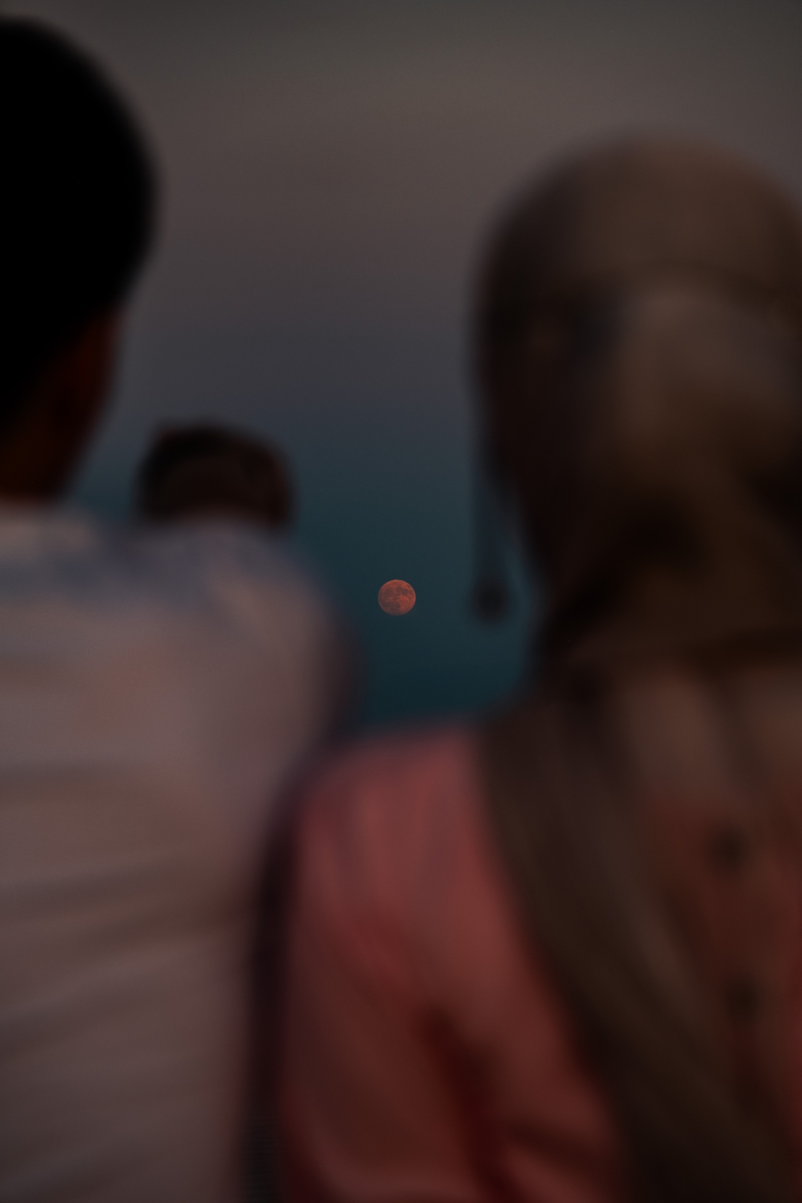 Вечернее парная фотосессия. Видеограф и Фотограф в Алматы и Караганда