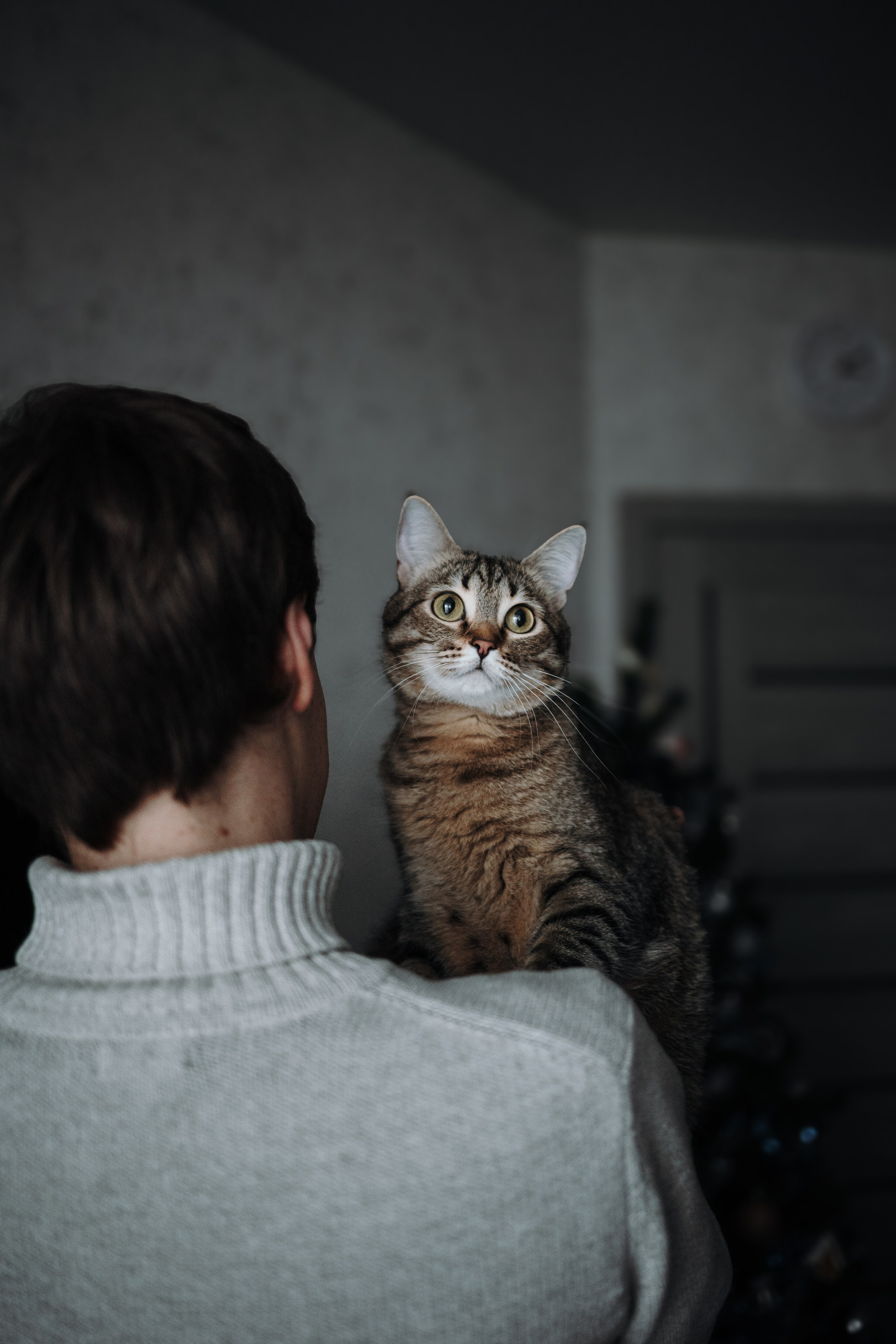 Мася и ее семья. Фотограф — Анималист | Санкт-Петербург