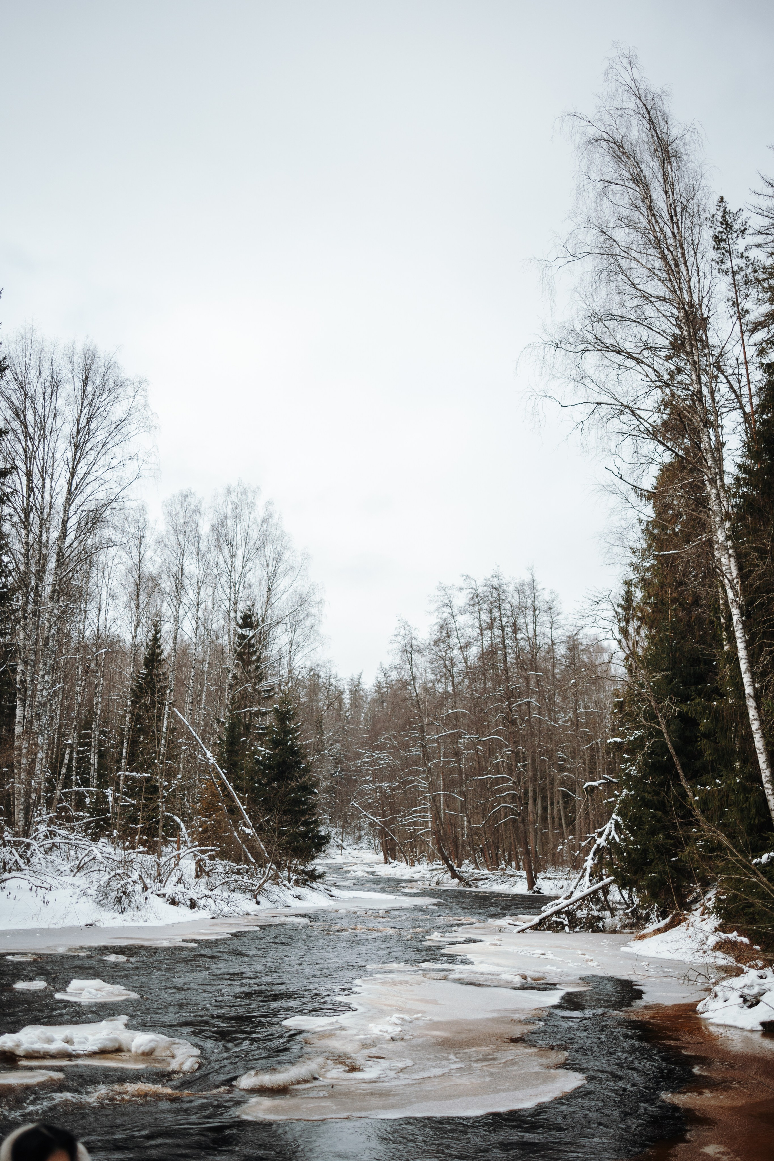 Вика и Лёва. Фотограф — Анималист | Санкт-Петербург