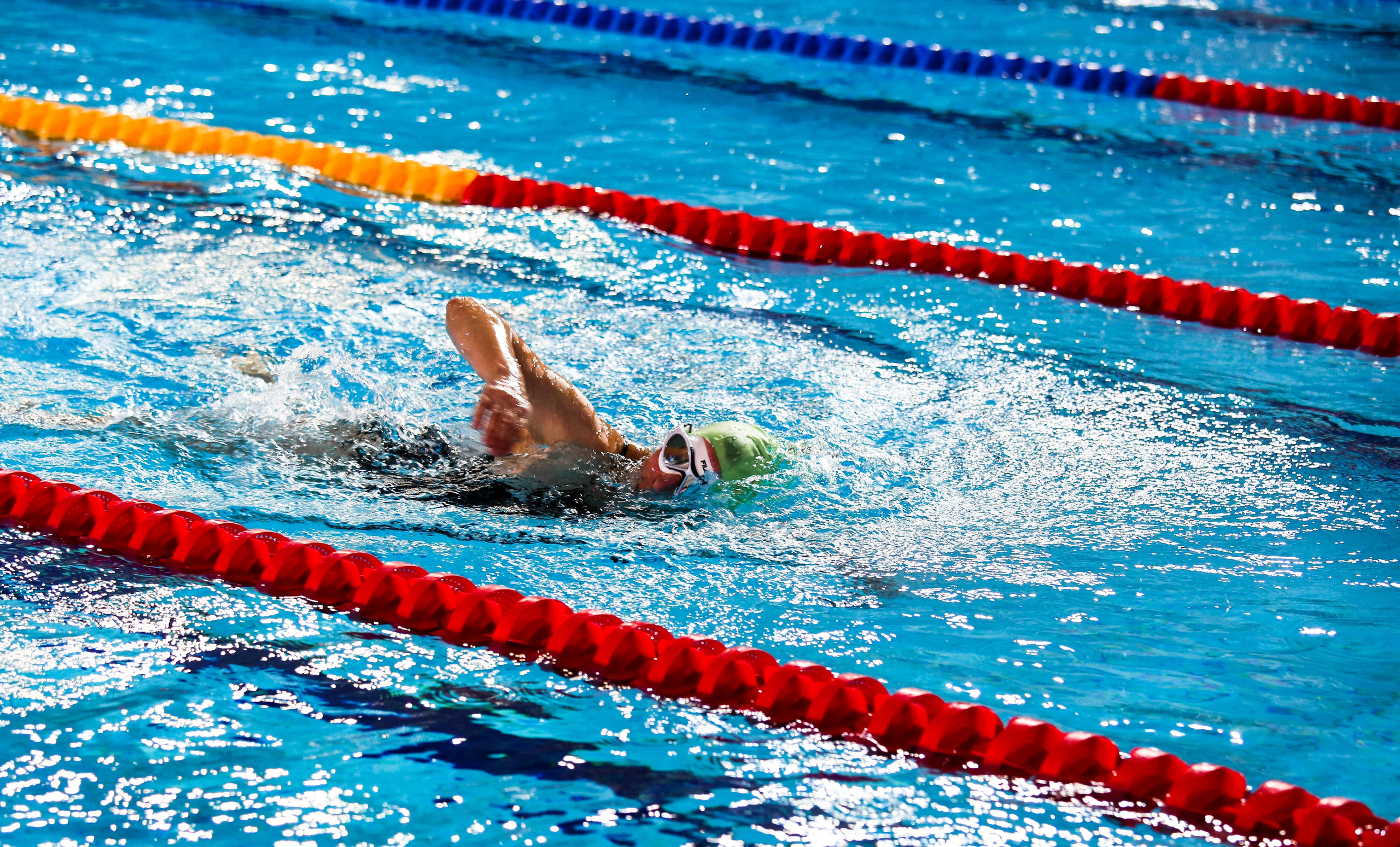 Соревнования по плаванию. Репортажный, семейный, свадебный, портретный фотограф