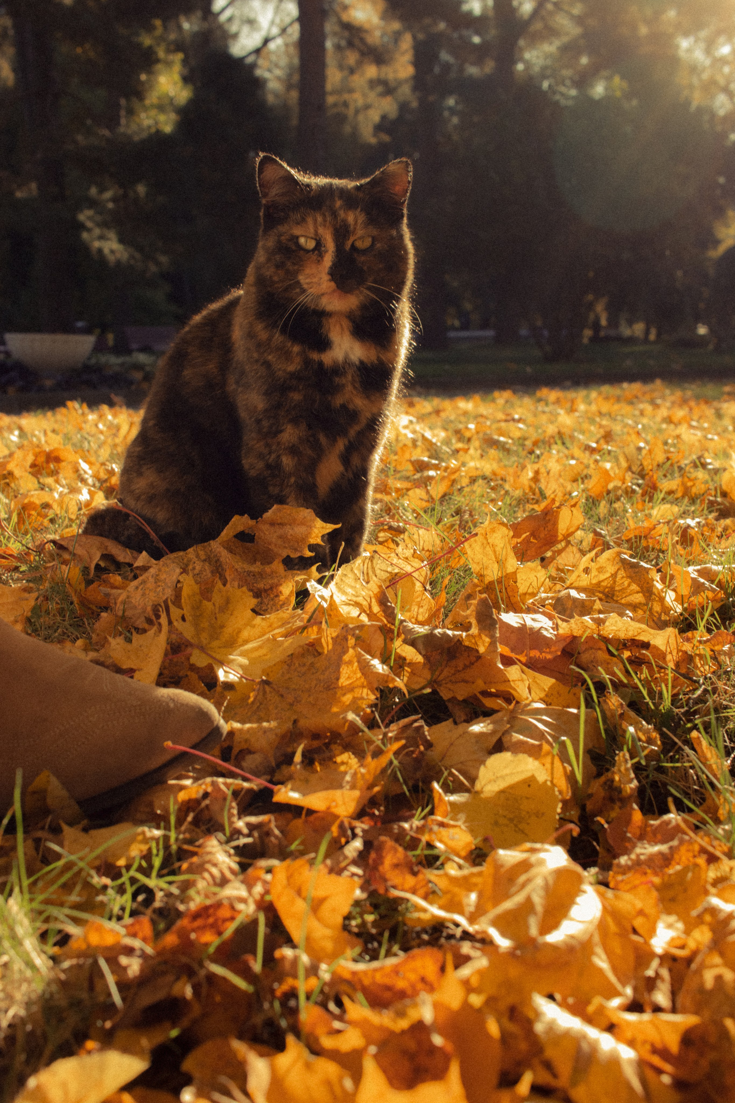 Фотопрогулка в парке Калининград. Портретный фотограф в Калининграде Рита Холодова