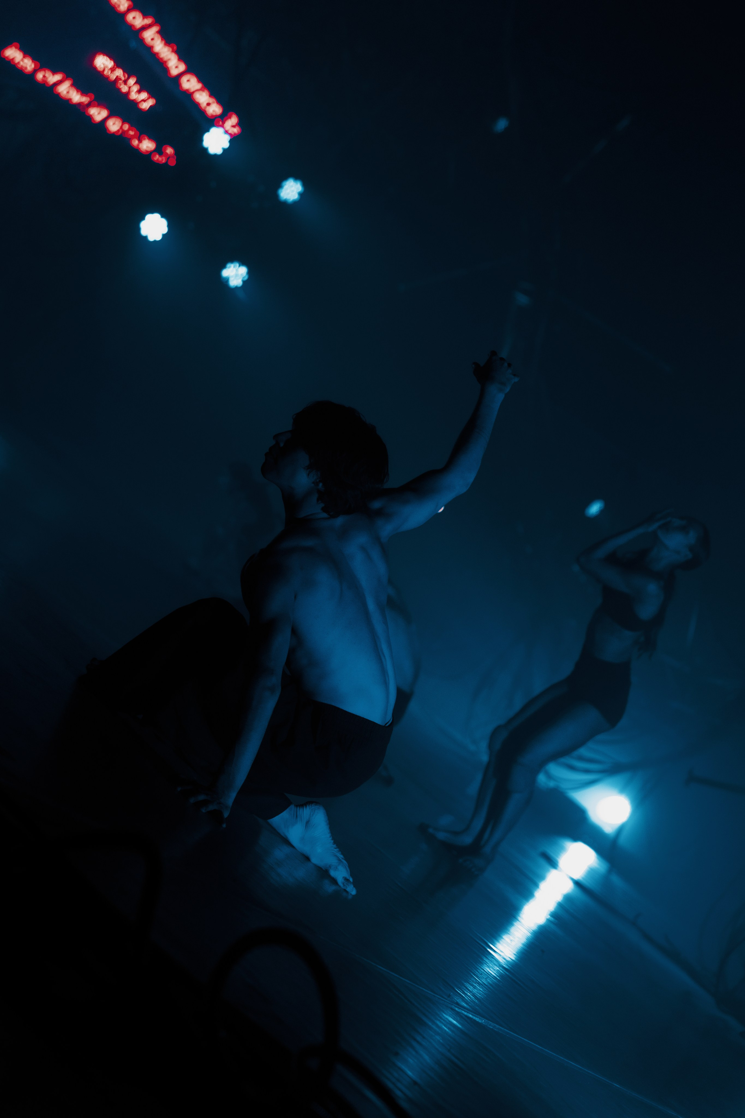 PERFORMA, The Hour of the Horse. @tomrus: Рустам Шагиморданов — фотограф