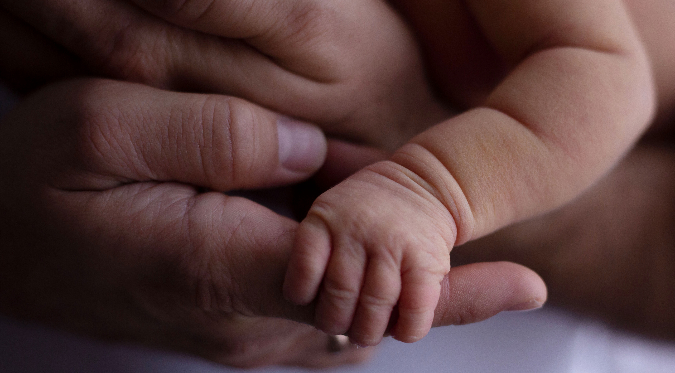 Новорождённые. Фотограф Анна Сагирова г. Ростов-на-Дону