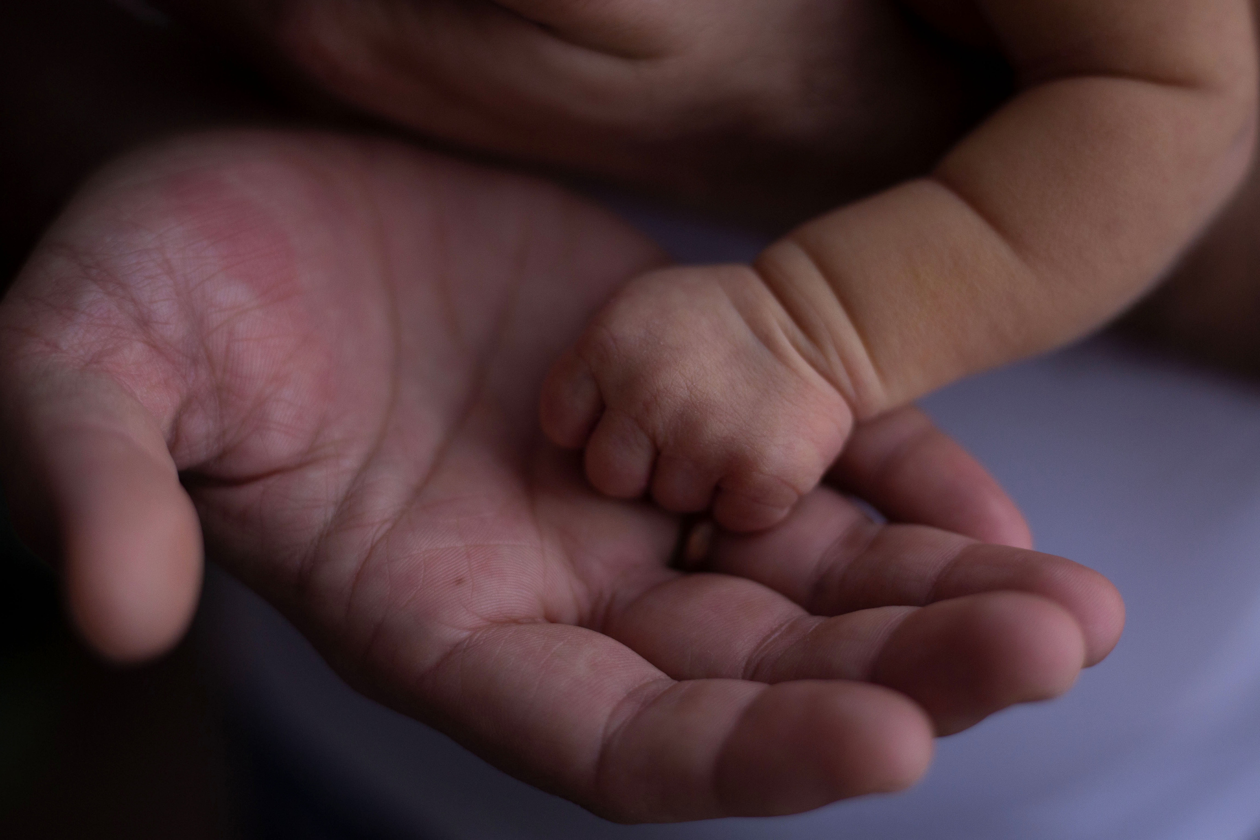 Новорождённые. Фотограф Анна Сагирова г. Ростов-на-Дону