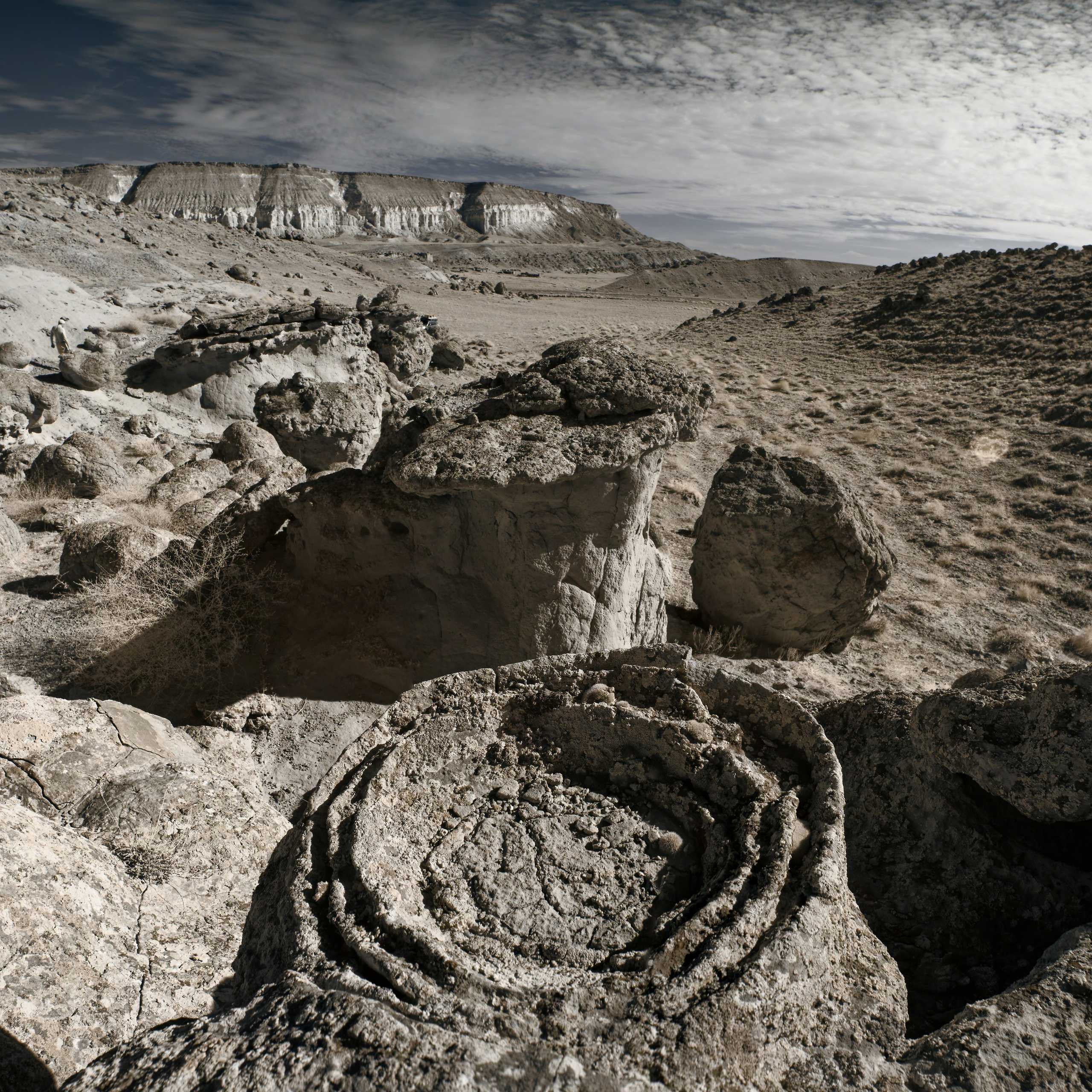 Долина Шаров (урочище Торыш) в ИК диапазоне. На переднем плане шар, расколотый пополам, на заднем луг и скалы.