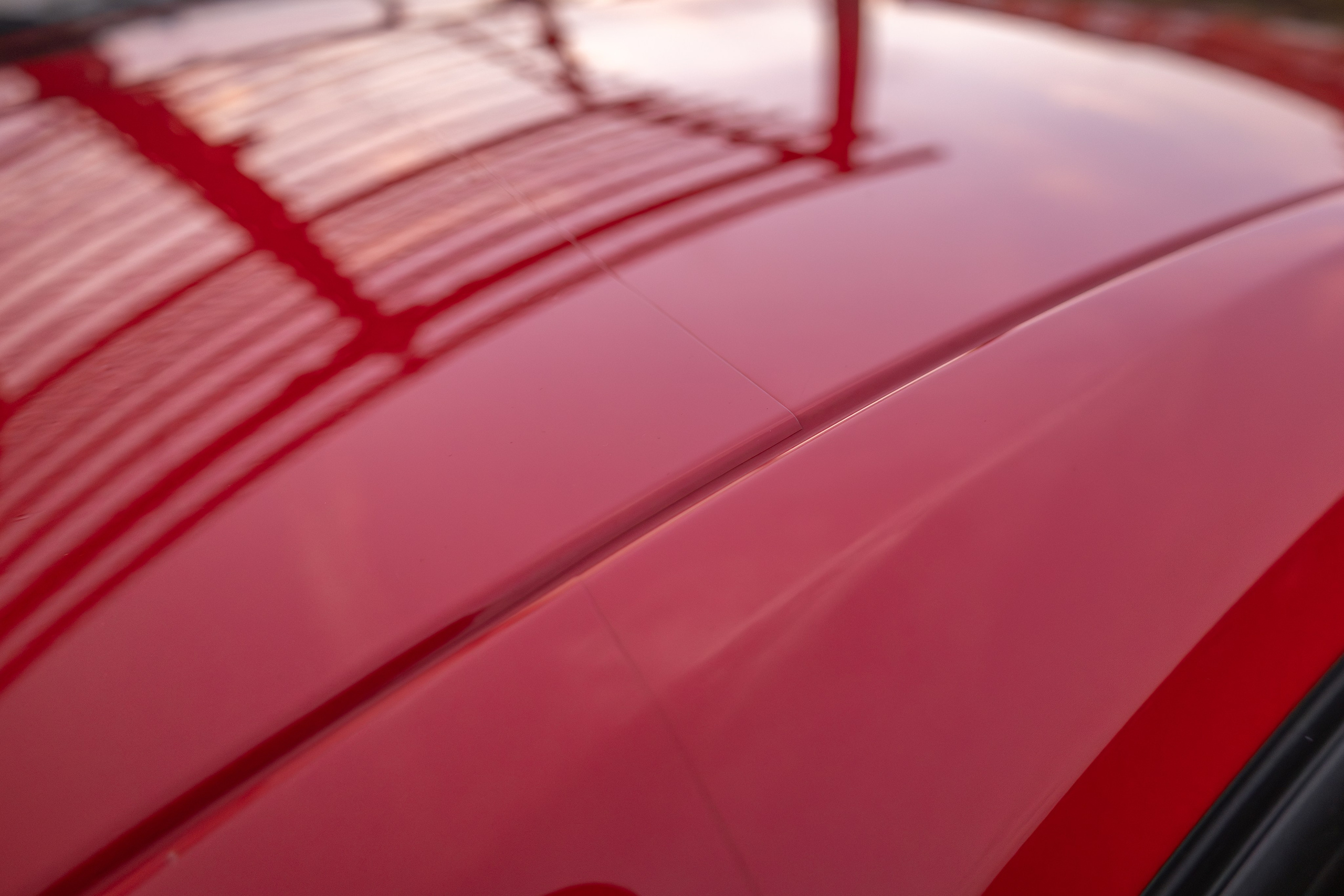 Mustang. Мелехов Дмитрий|Фотограф|Видеограф