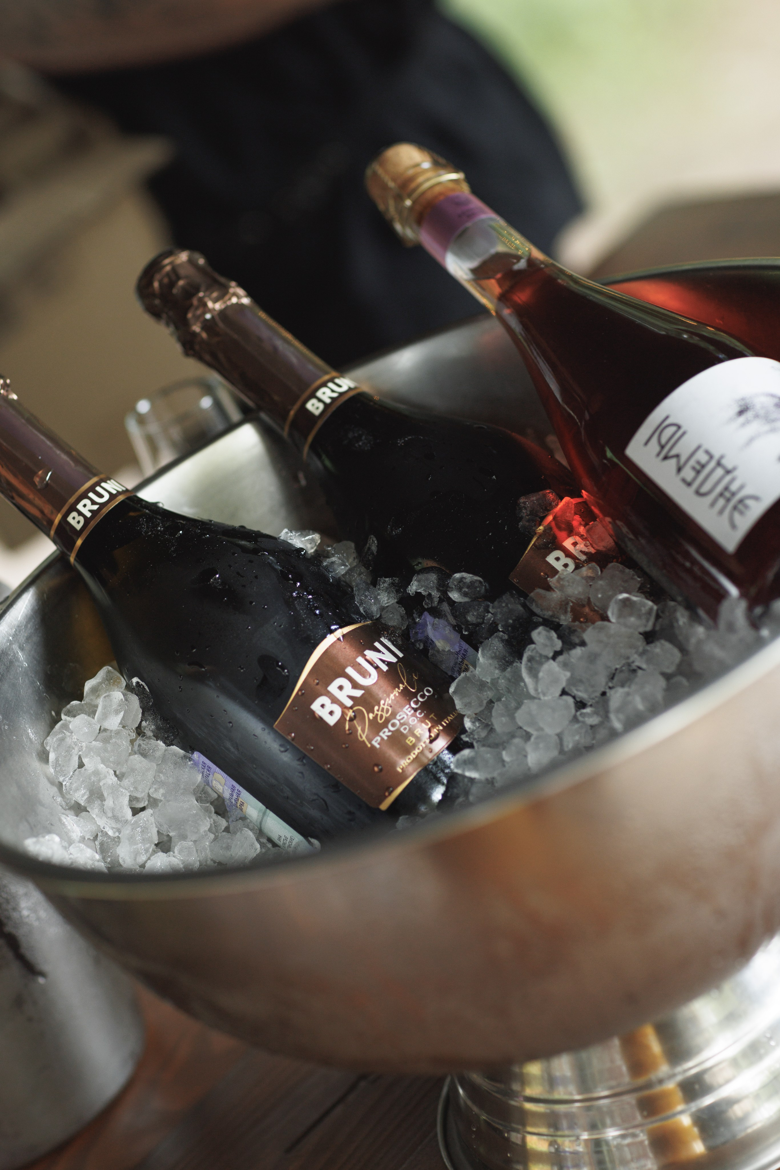 Дмитрий и Диана