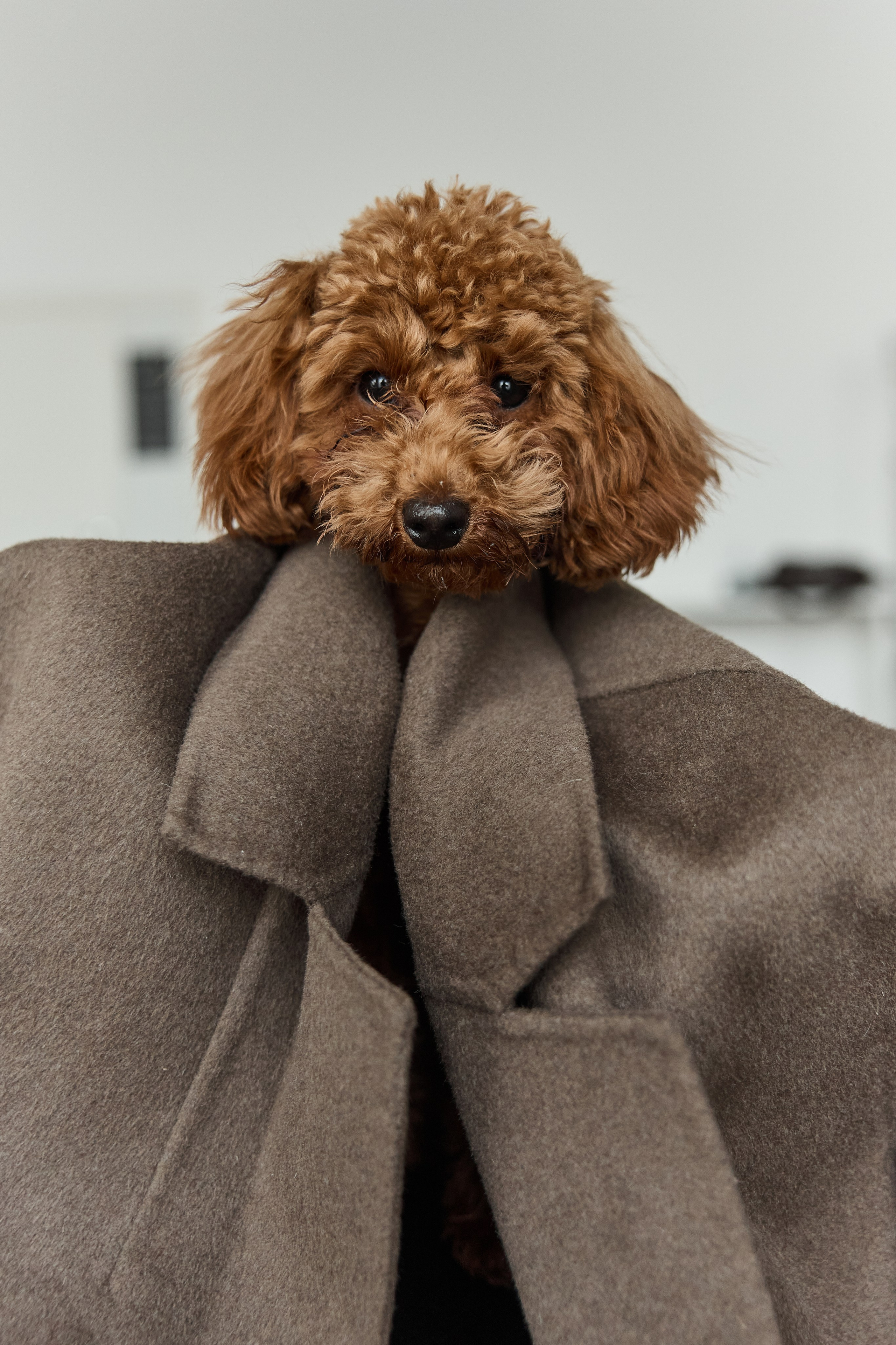 ЛУНА. Kharchenkotatianaweddingphoto