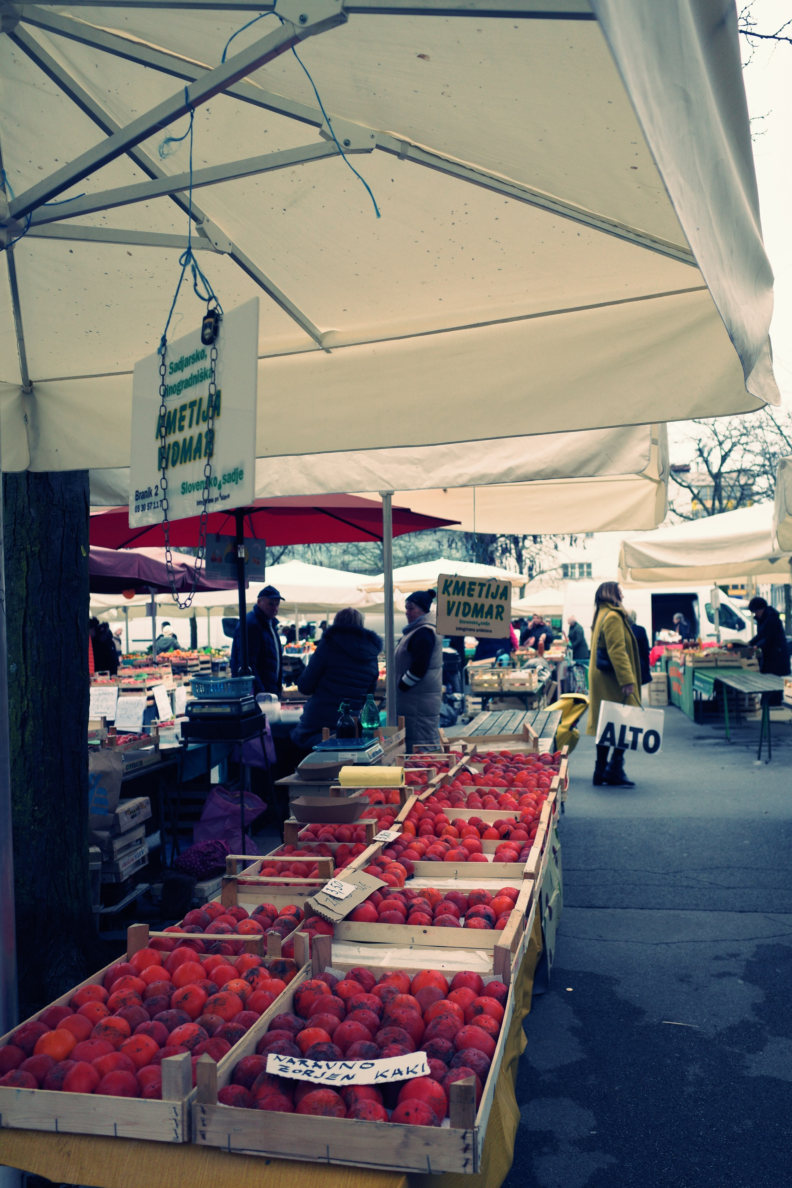Словения. Фотографирую для себя, своей семьи и друзей!