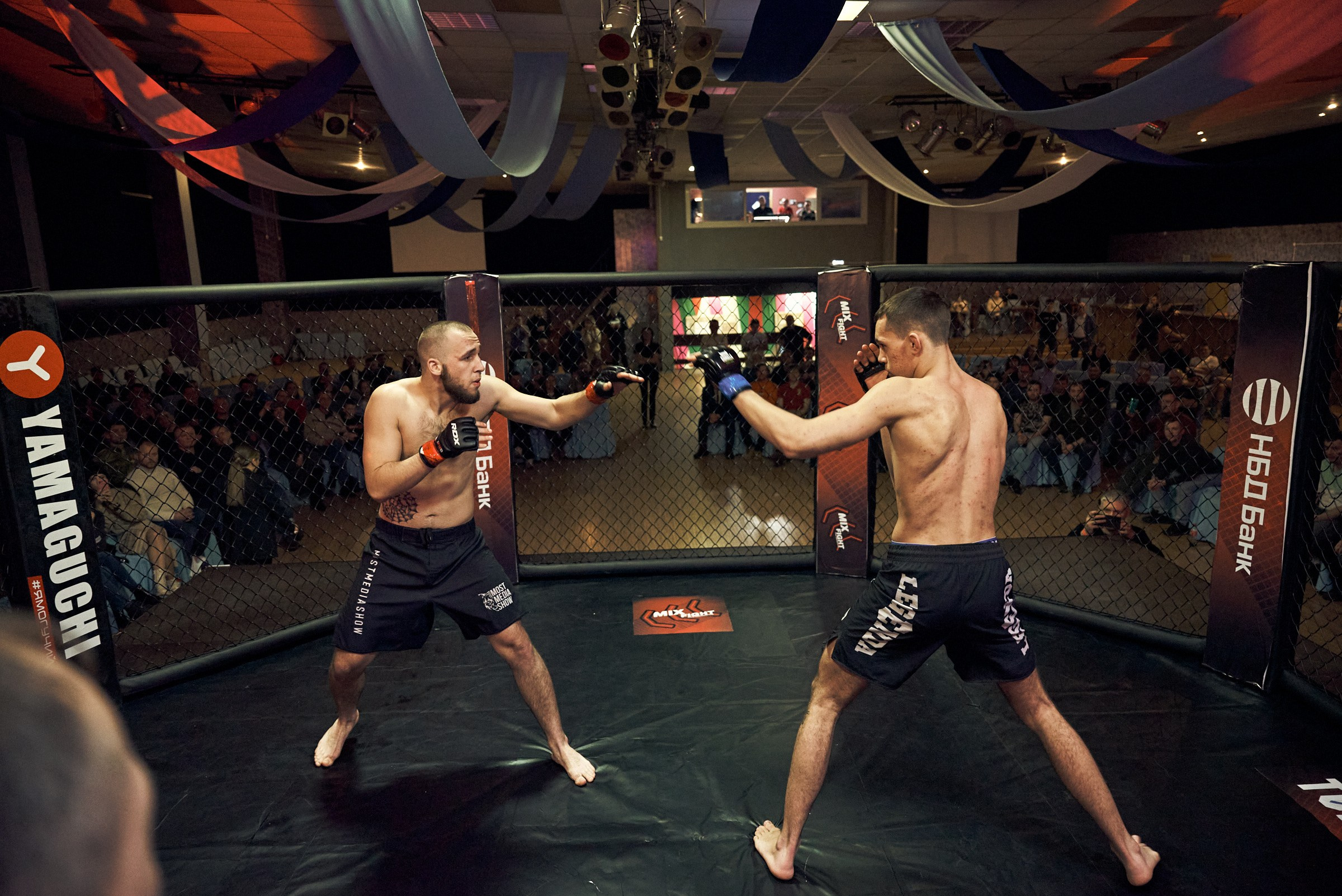 Бои. Маляревич Дмитрий свадебный фотограф