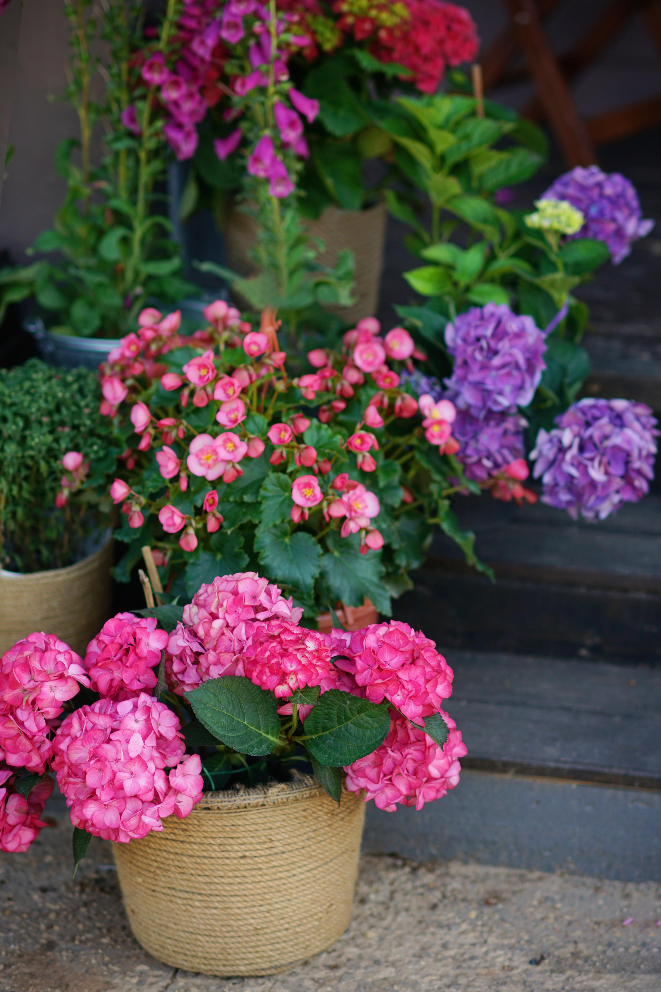 Семейная съемка. Фотодача — загородный дом для съемок в Домодедово, Московская область