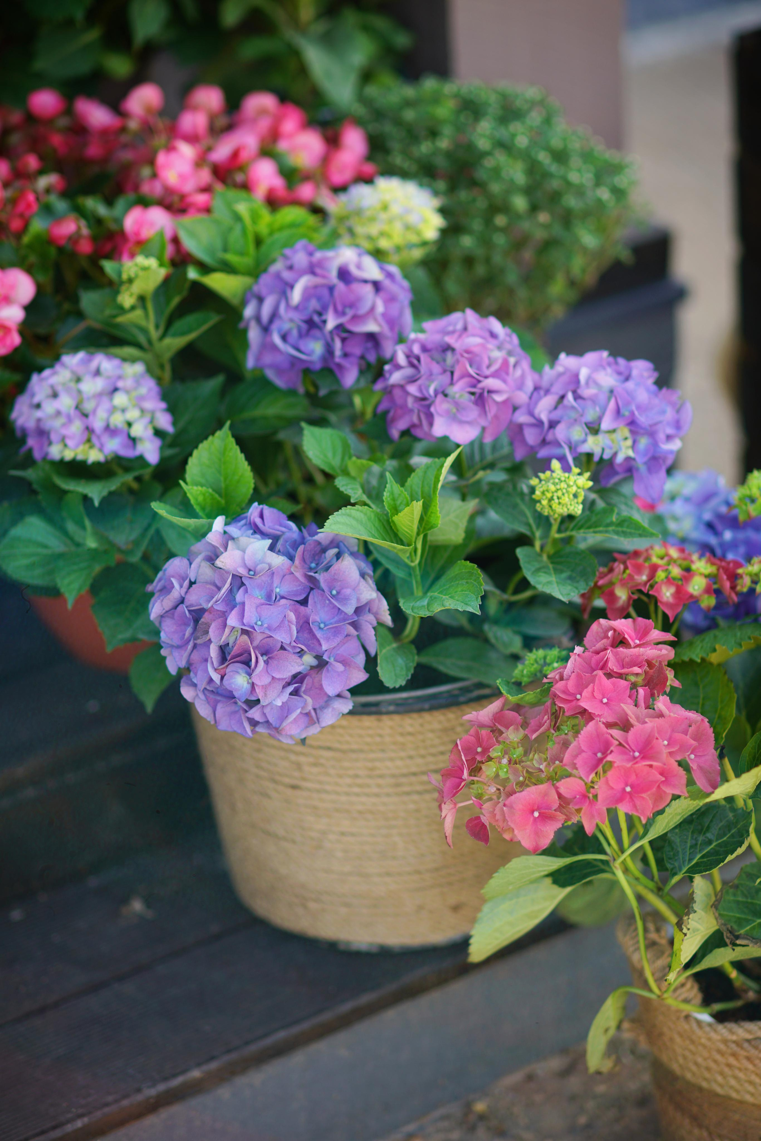 Семейная съемка. Фотодача — загородный дом для съемок в Домодедово, Московская область