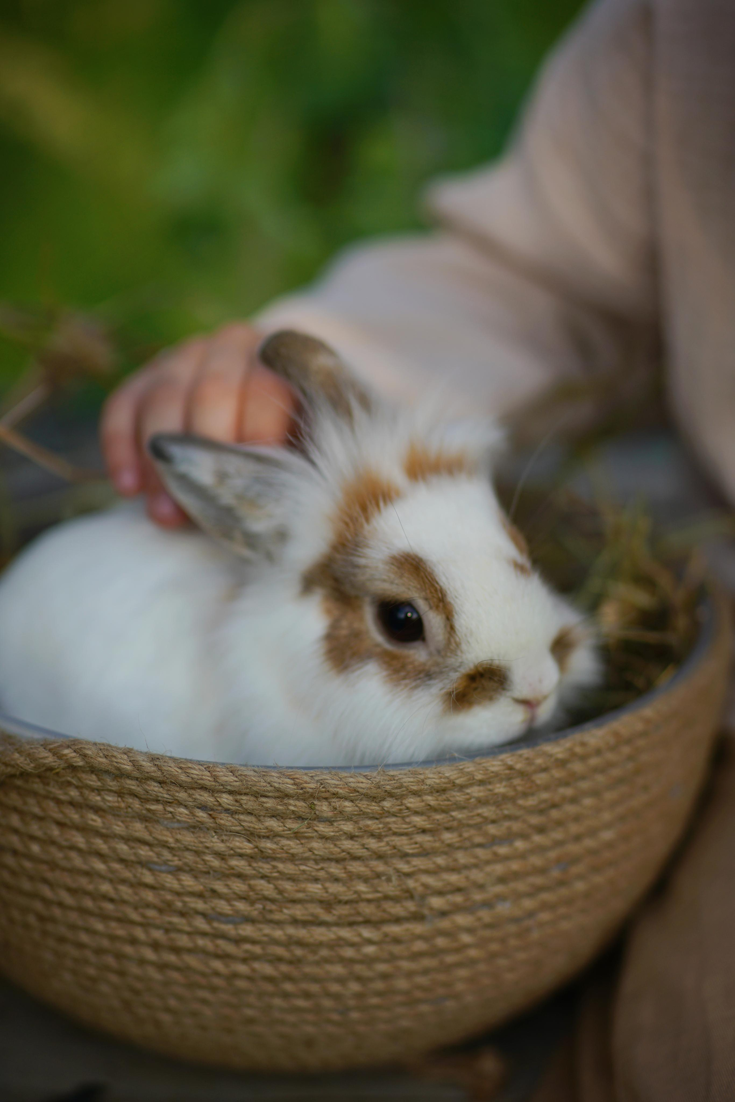 Семейная съемка. Фотодача — загородный дом для съемок в Домодедово, Московская область