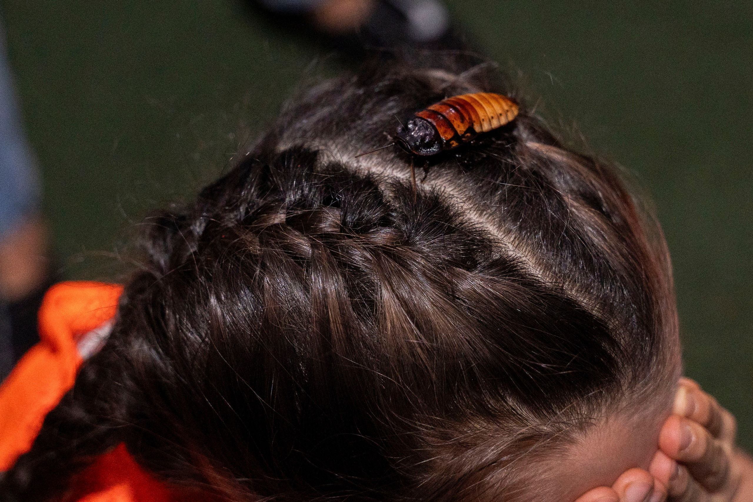 Квесты. Фотограф Юлия Попова