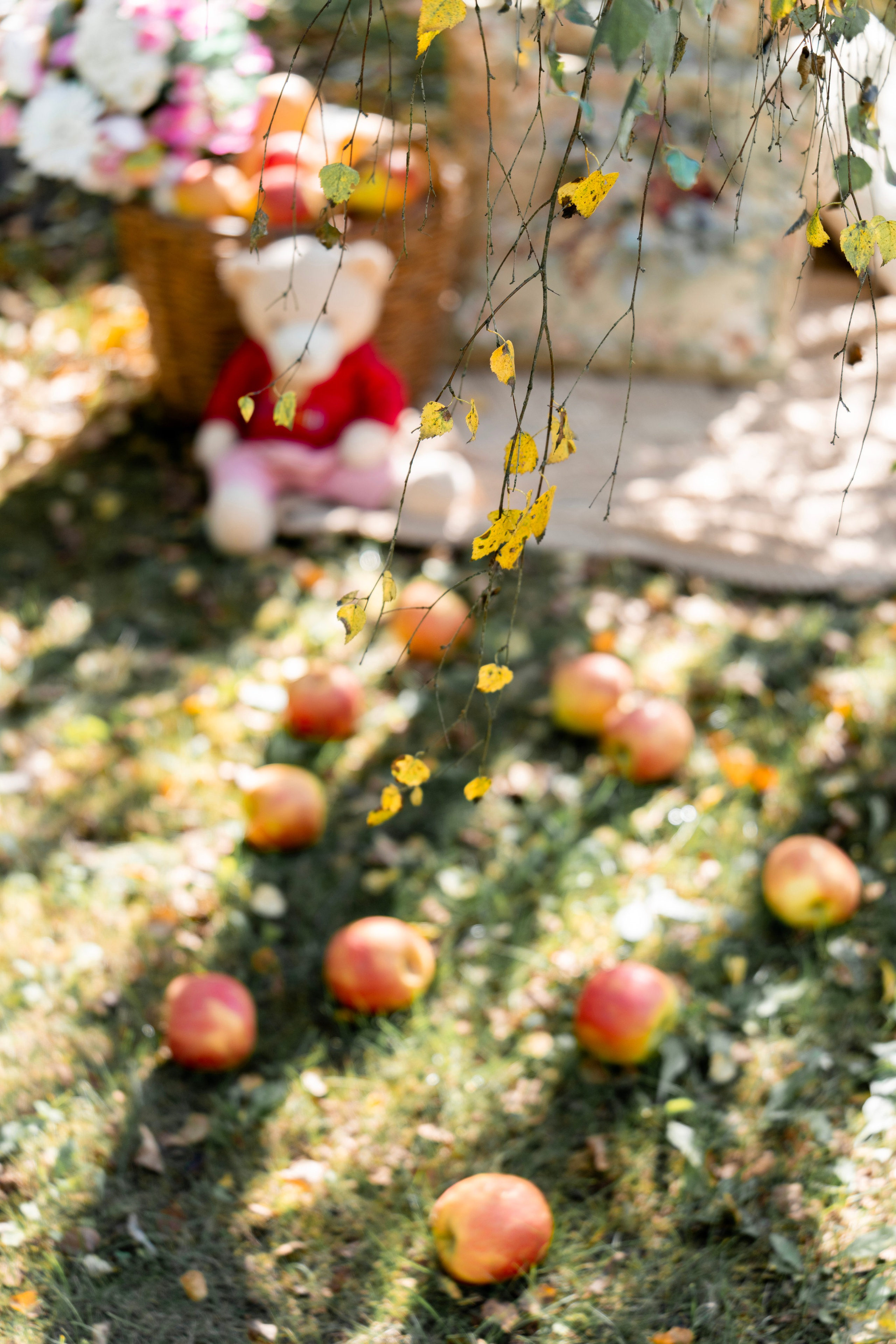 Осень 2. Фотограф Юлия Попова