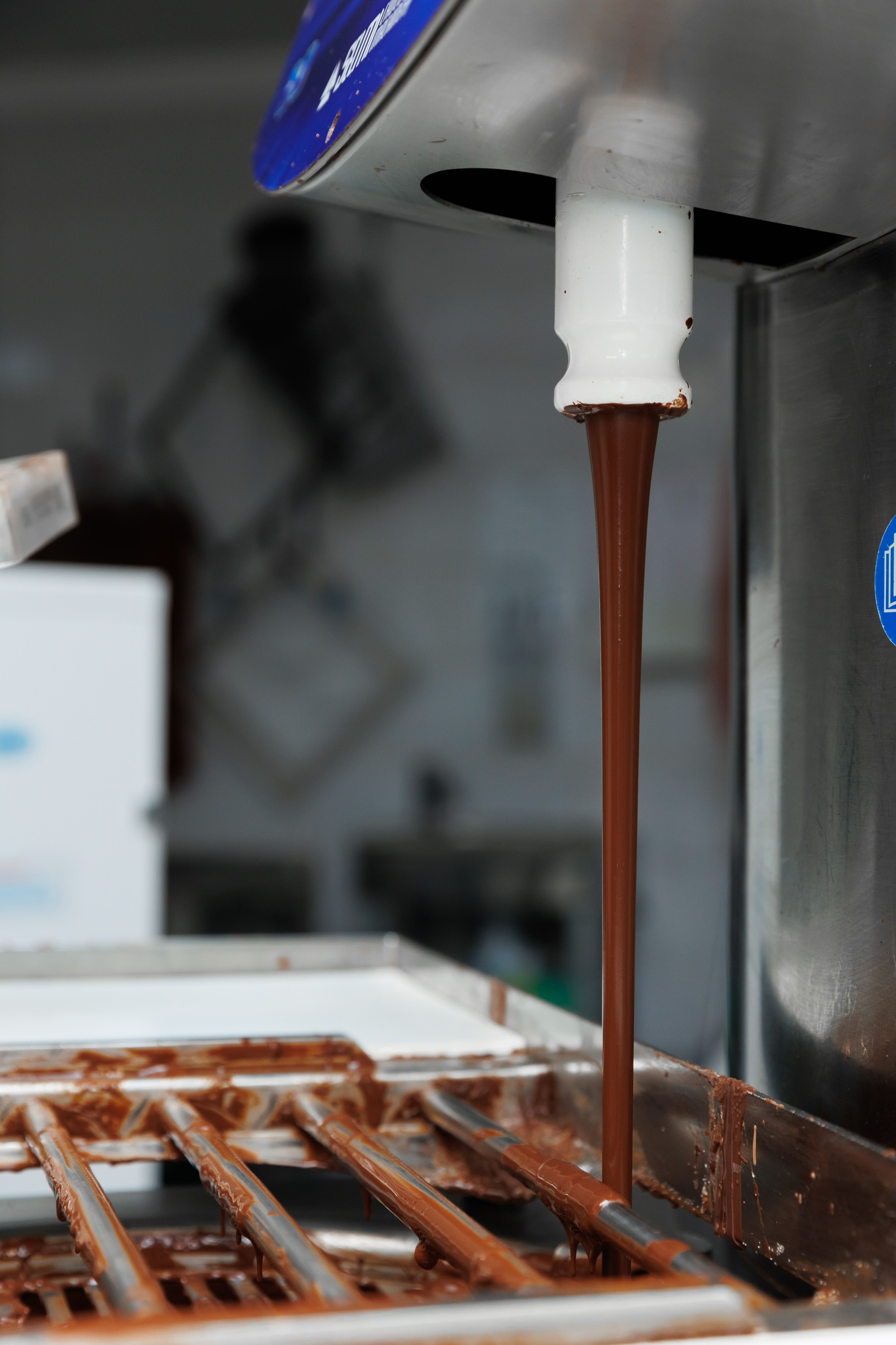 Экскурсия в шоколадный дом Бриля. Фотограф Новосибирск — Наталья Гресь