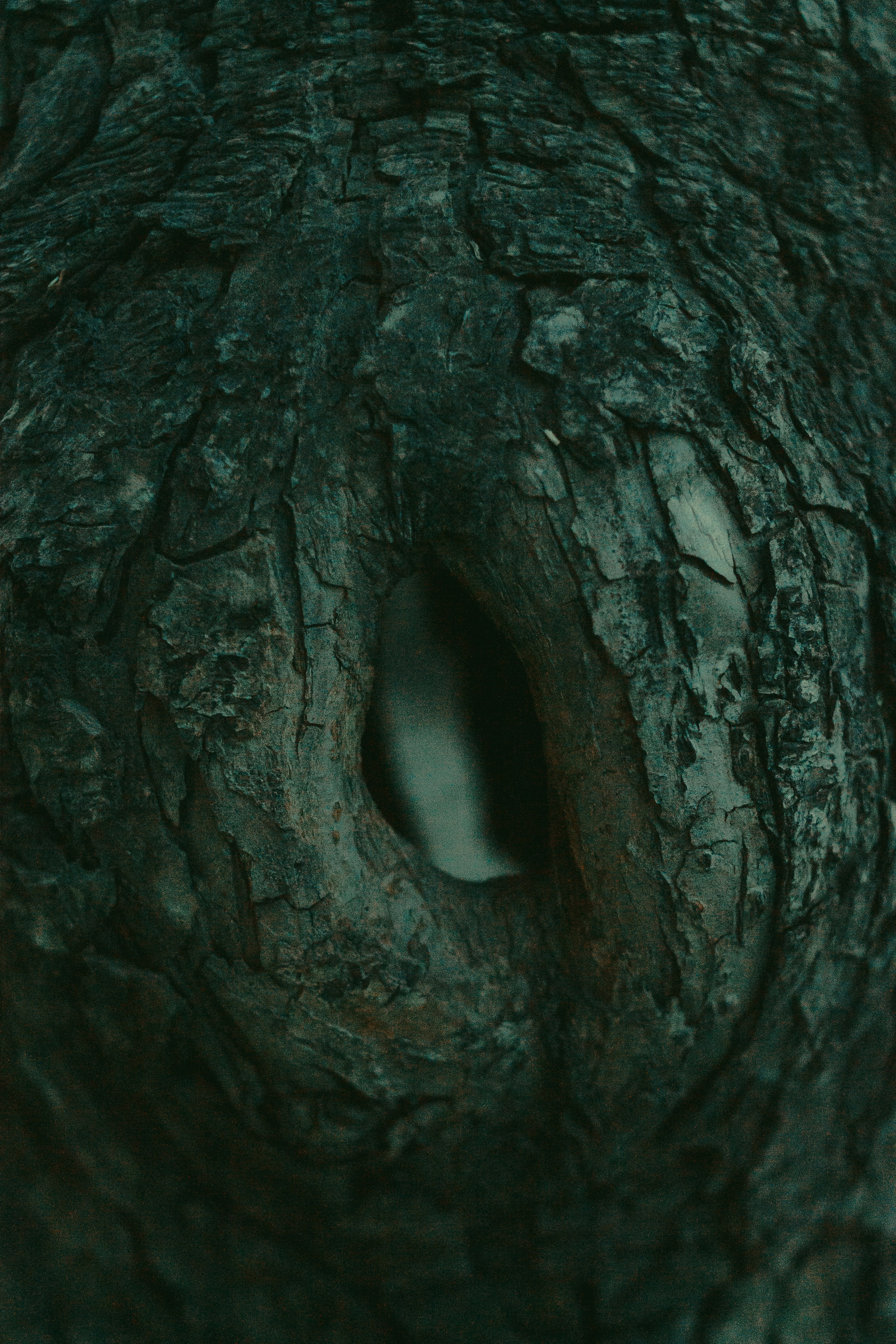 Дарья. Борщевская Елизавета / фотограф Иркутск