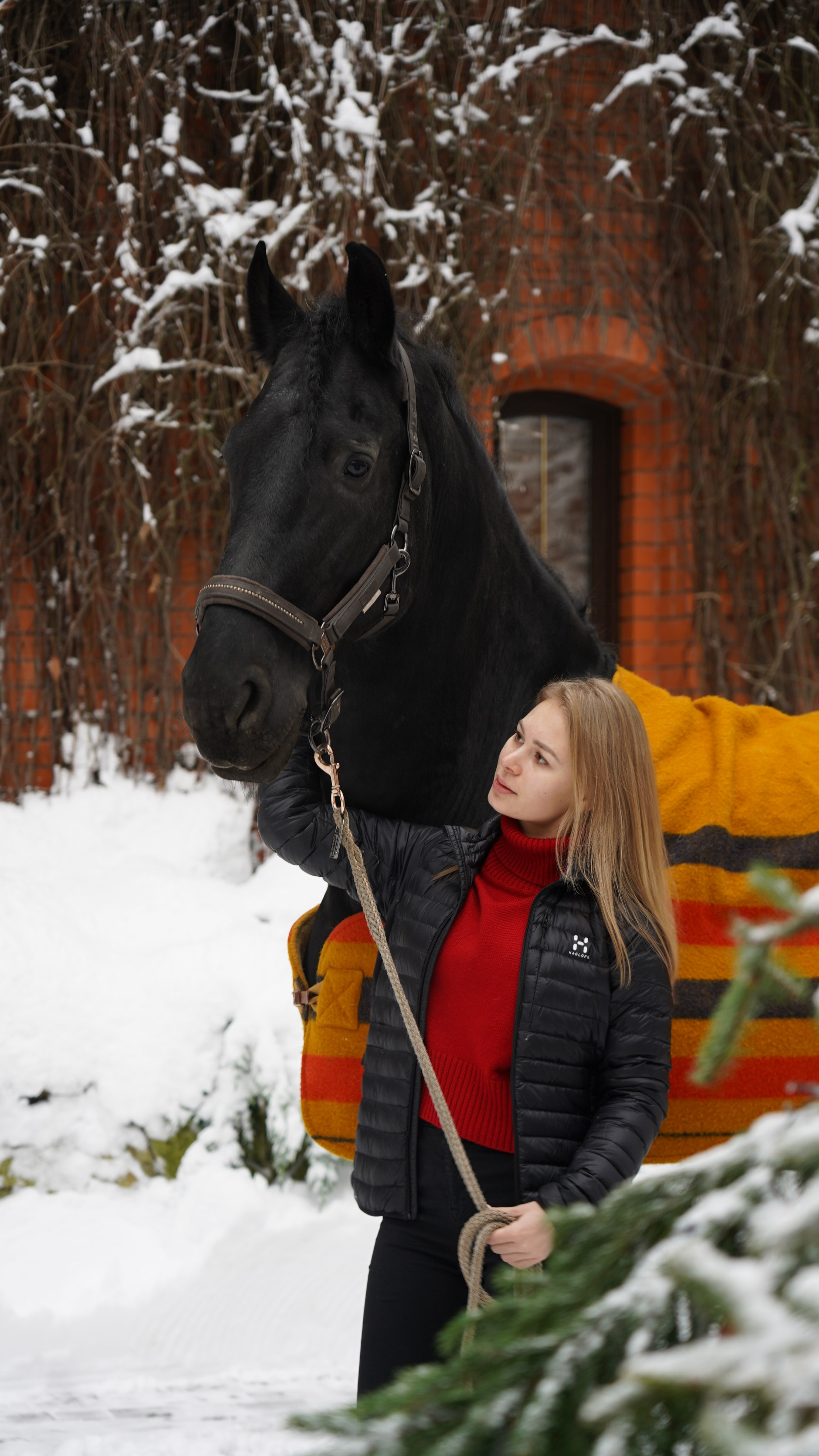 Фотосессия с лошадьми. Главная