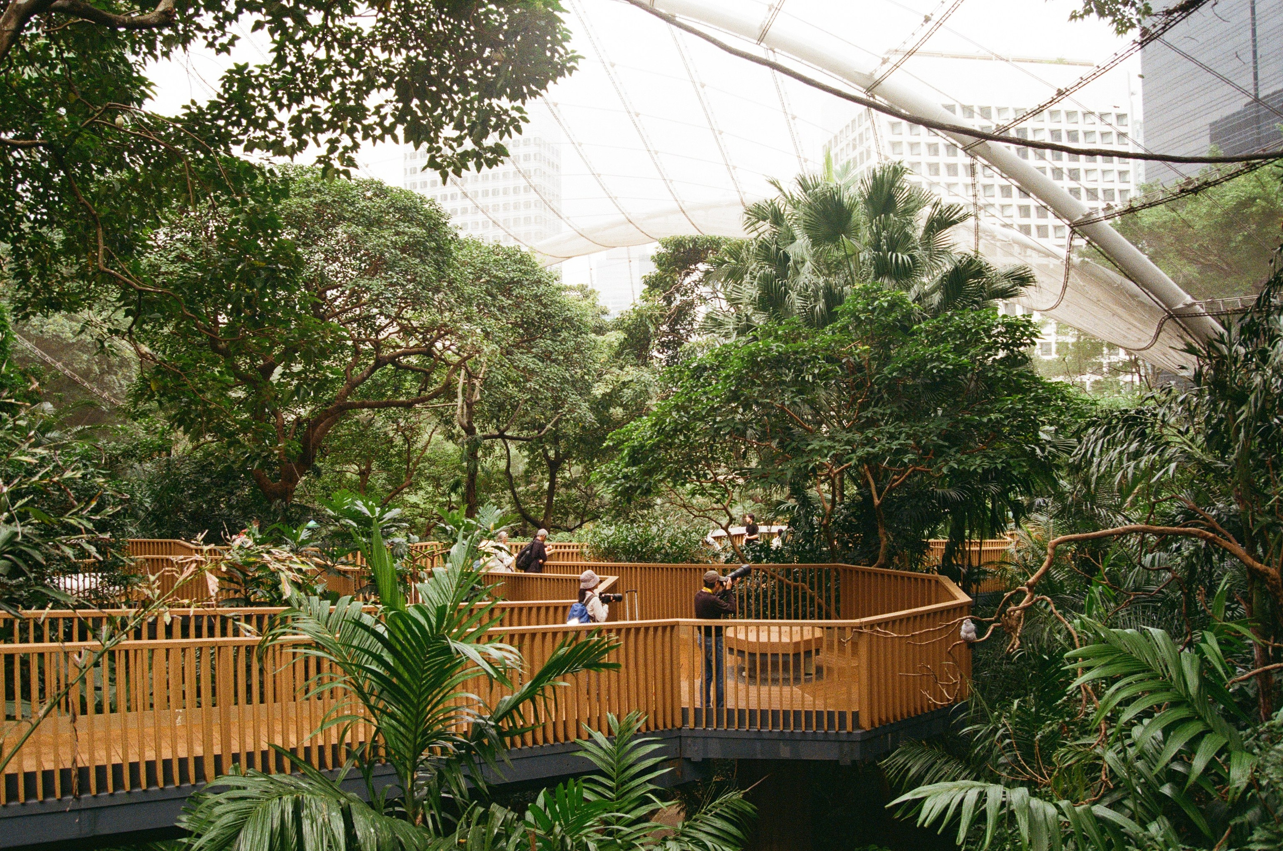 Гон Конг 2024. Репортажный и портретный фотограф Русакова Жанна