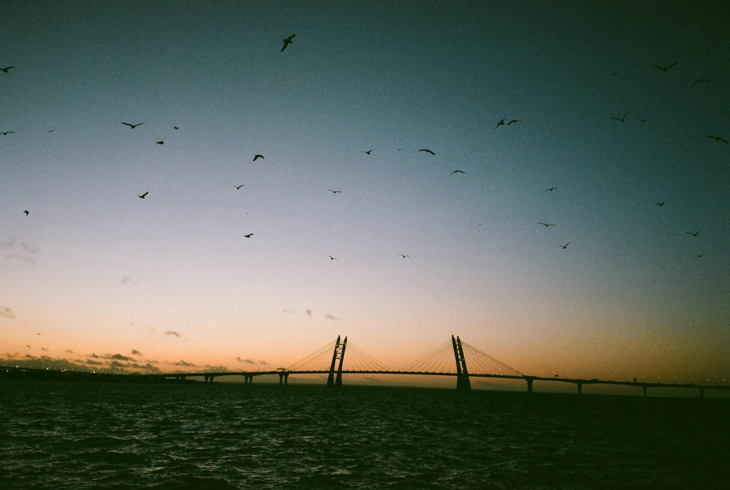 Фотографии цветные. Свадебный и семейный пленочный фотограф в Петербурге Истомина Ирина