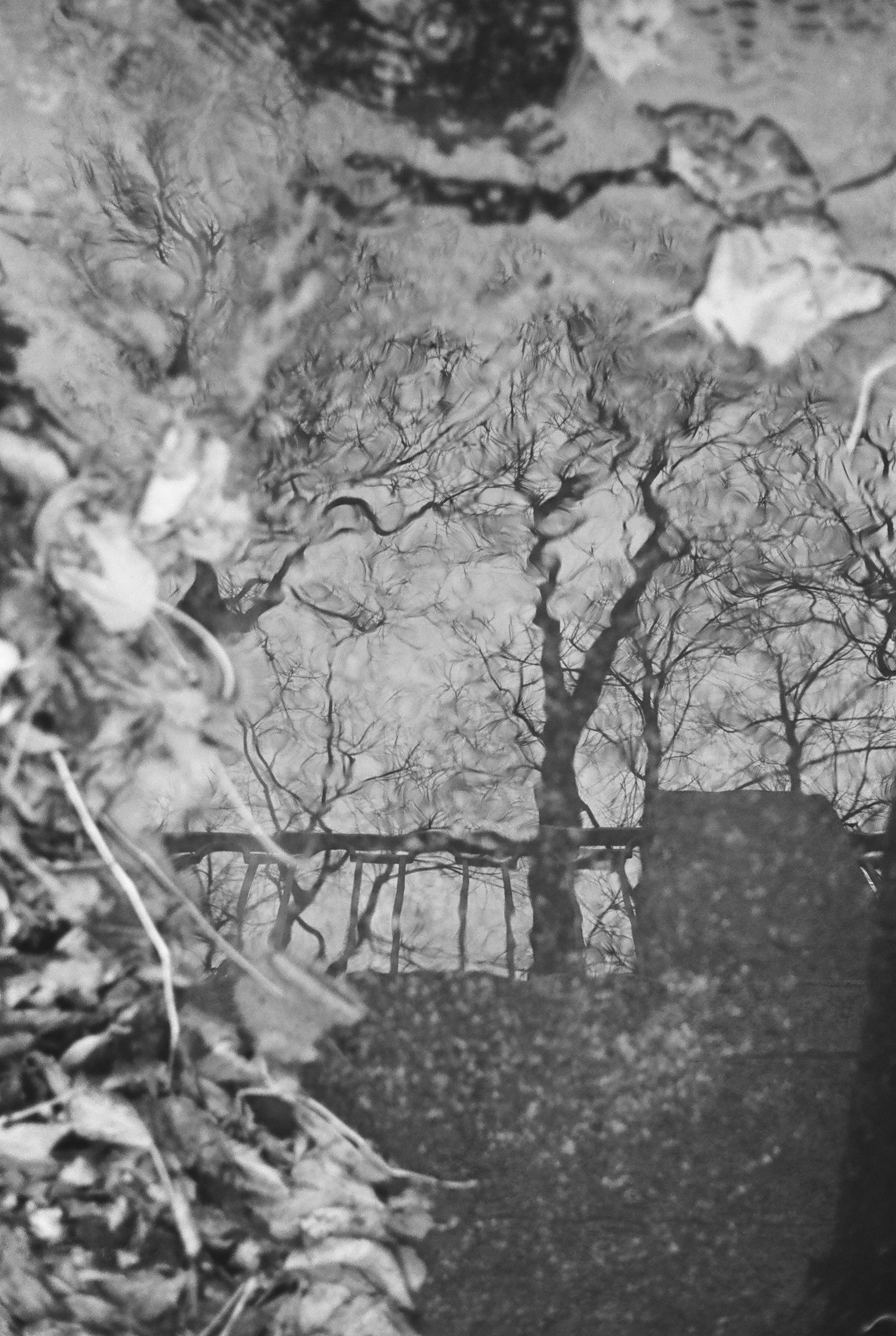 Фотографии черно-белые. Свадебный и семейный пленочный фотограф в Петербурге Истомина Ирина