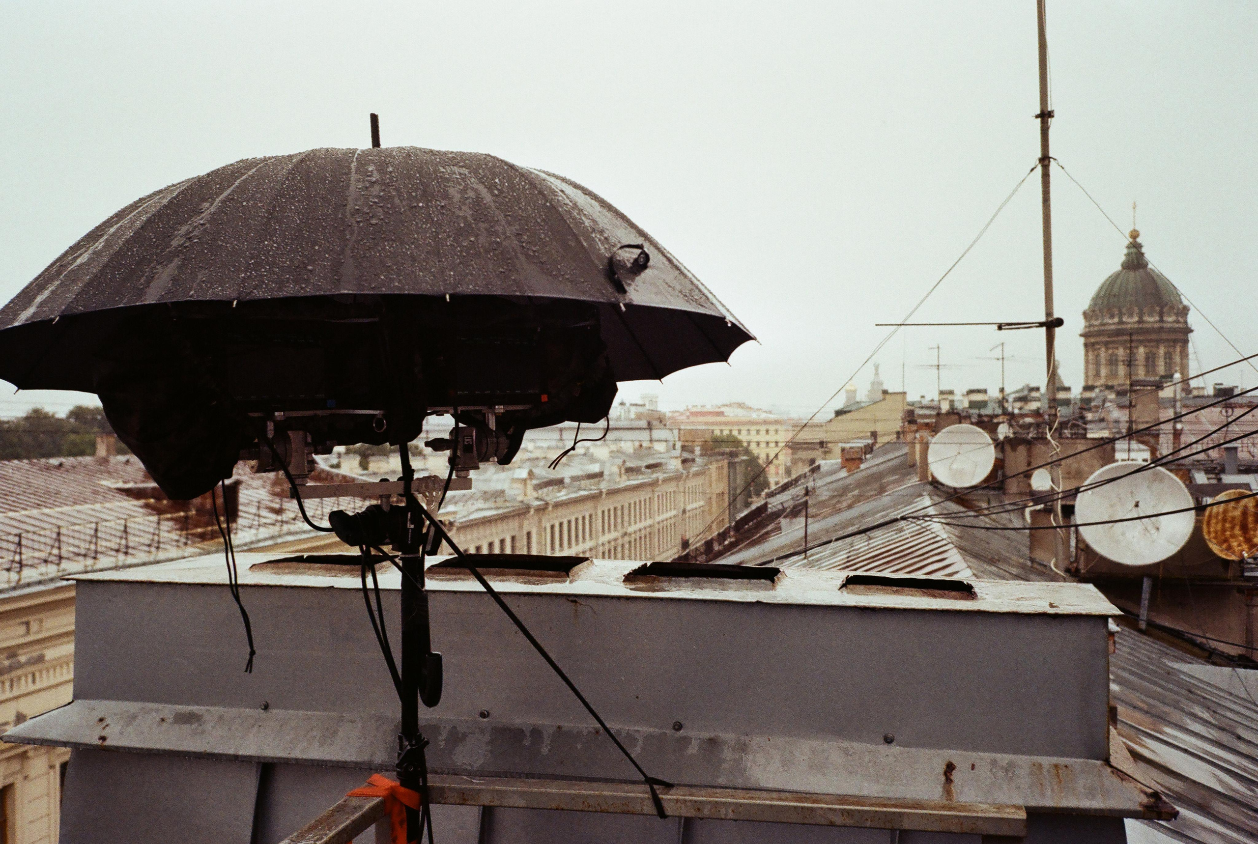 Фотографии цветные. Свадебный и семейный пленочный фотограф в Петербурге Истомина Ирина