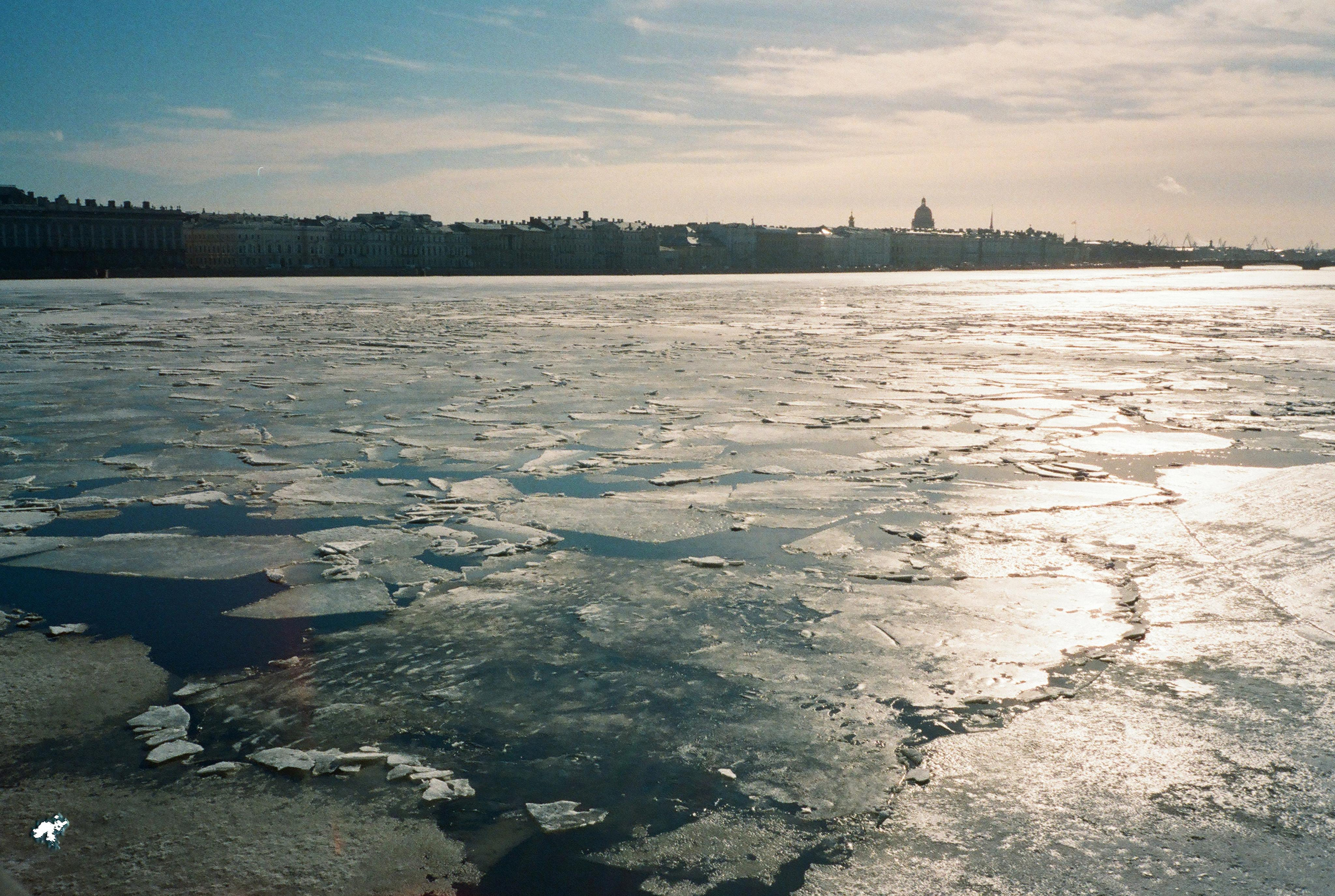 Фотографии цветные. Свадебный и семейный пленочный фотограф в Петербурге Истомина Ирина