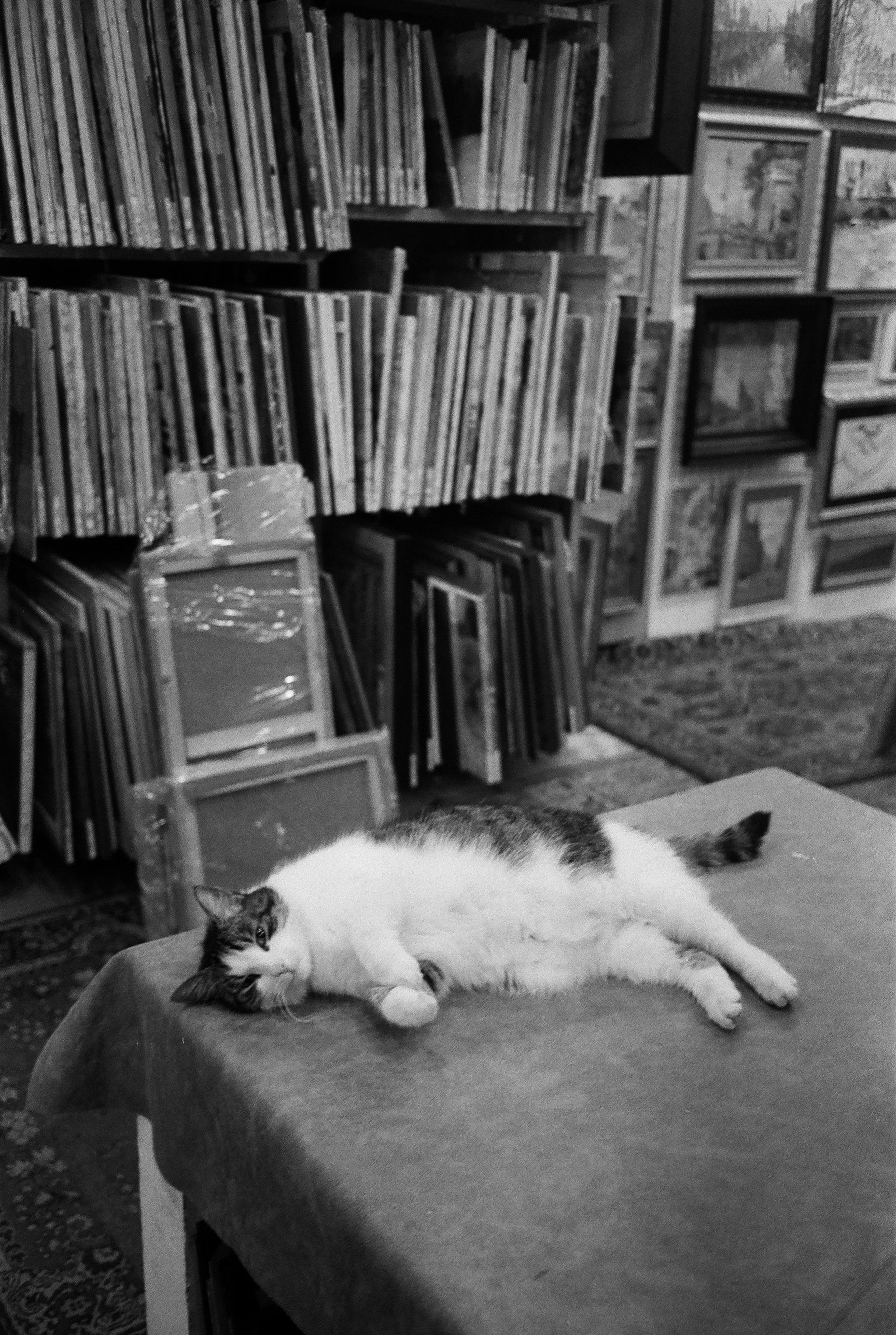 Фотографии черно-белые. Свадебный и семейный пленочный фотограф в Петербурге Истомина Ирина