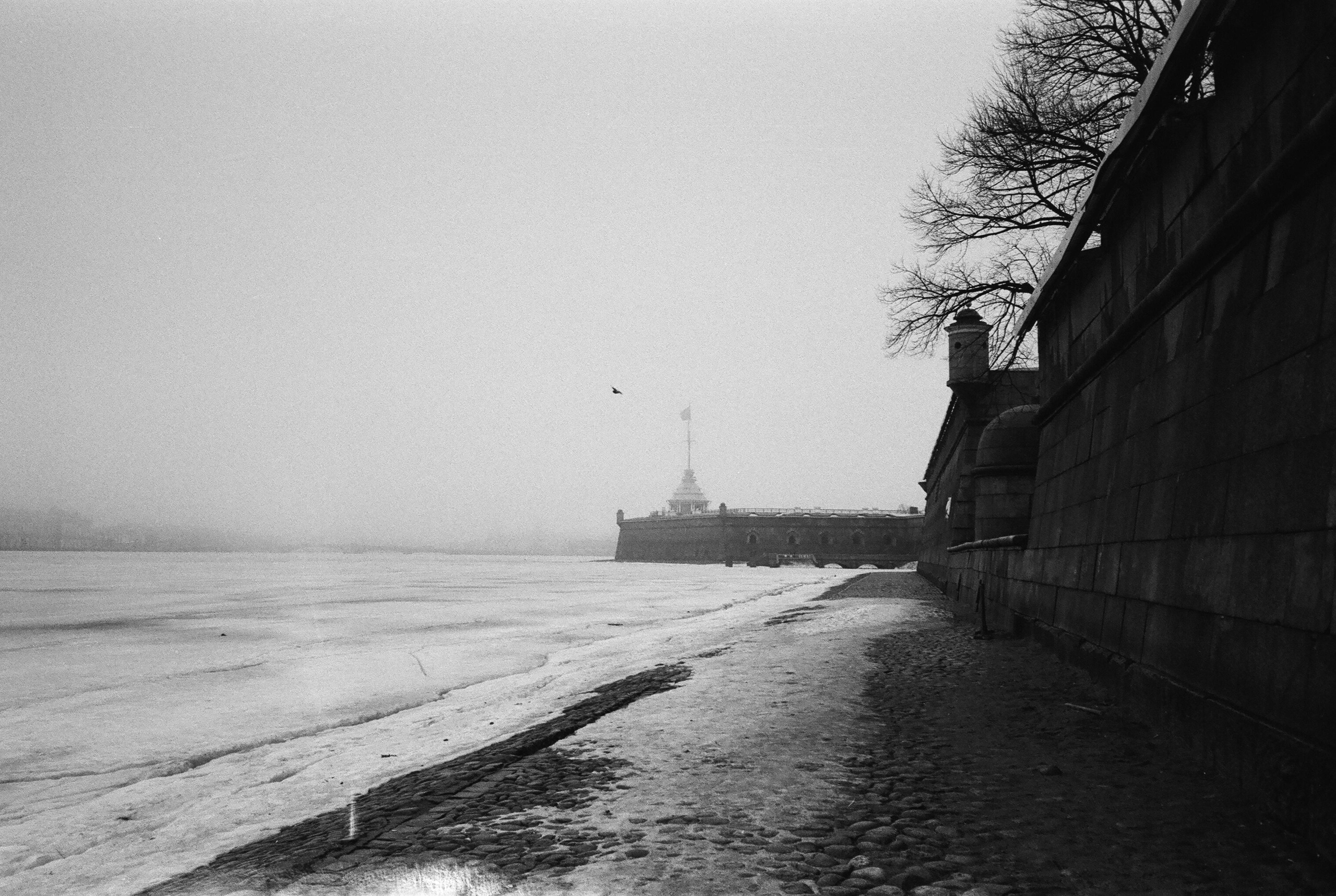 Фотографии черно-белые. Свадебный и семейный пленочный фотограф в Петербурге Истомина Ирина