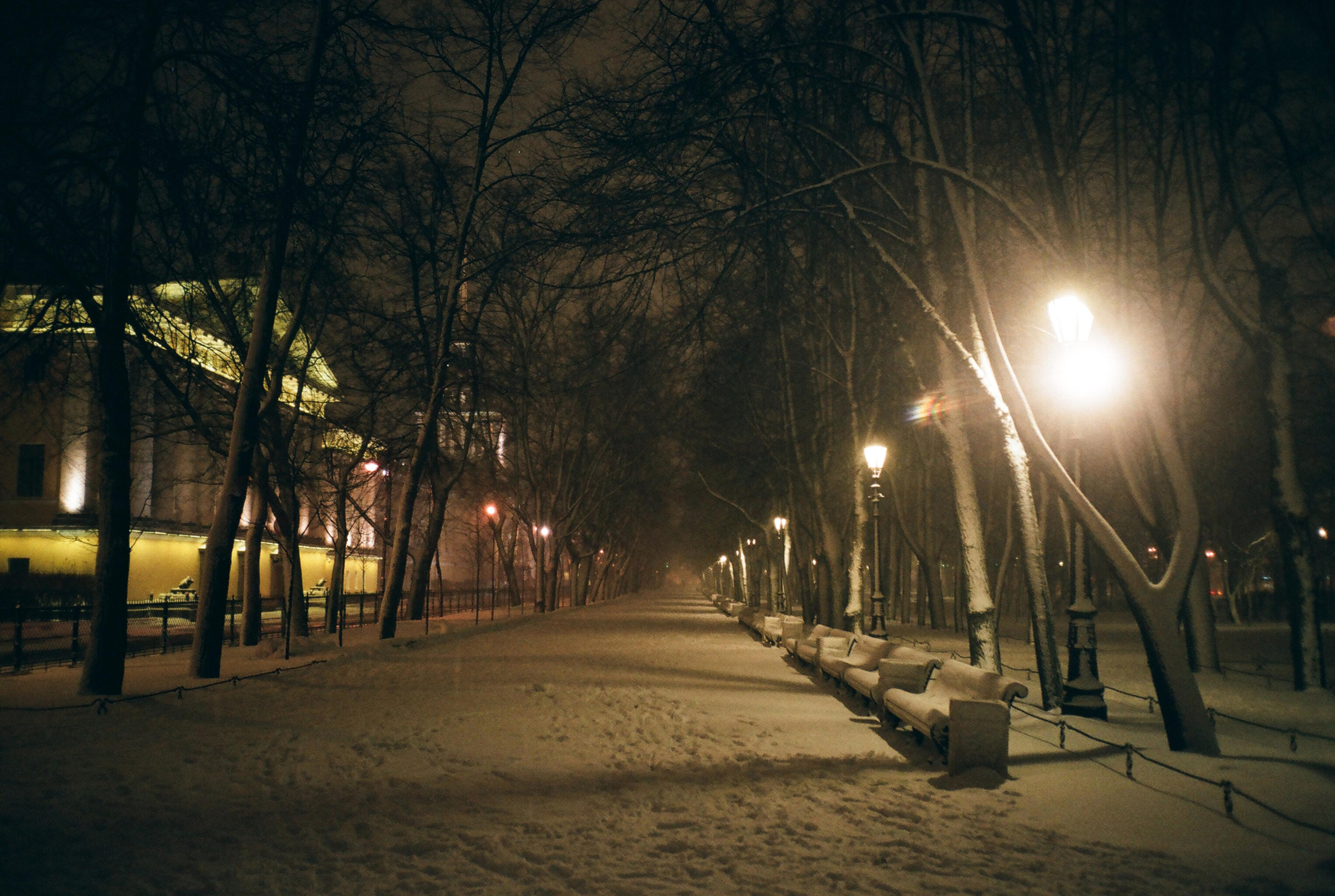 Фотографии цветные. Свадебный и семейный пленочный фотограф в Петербурге Истомина Ирина