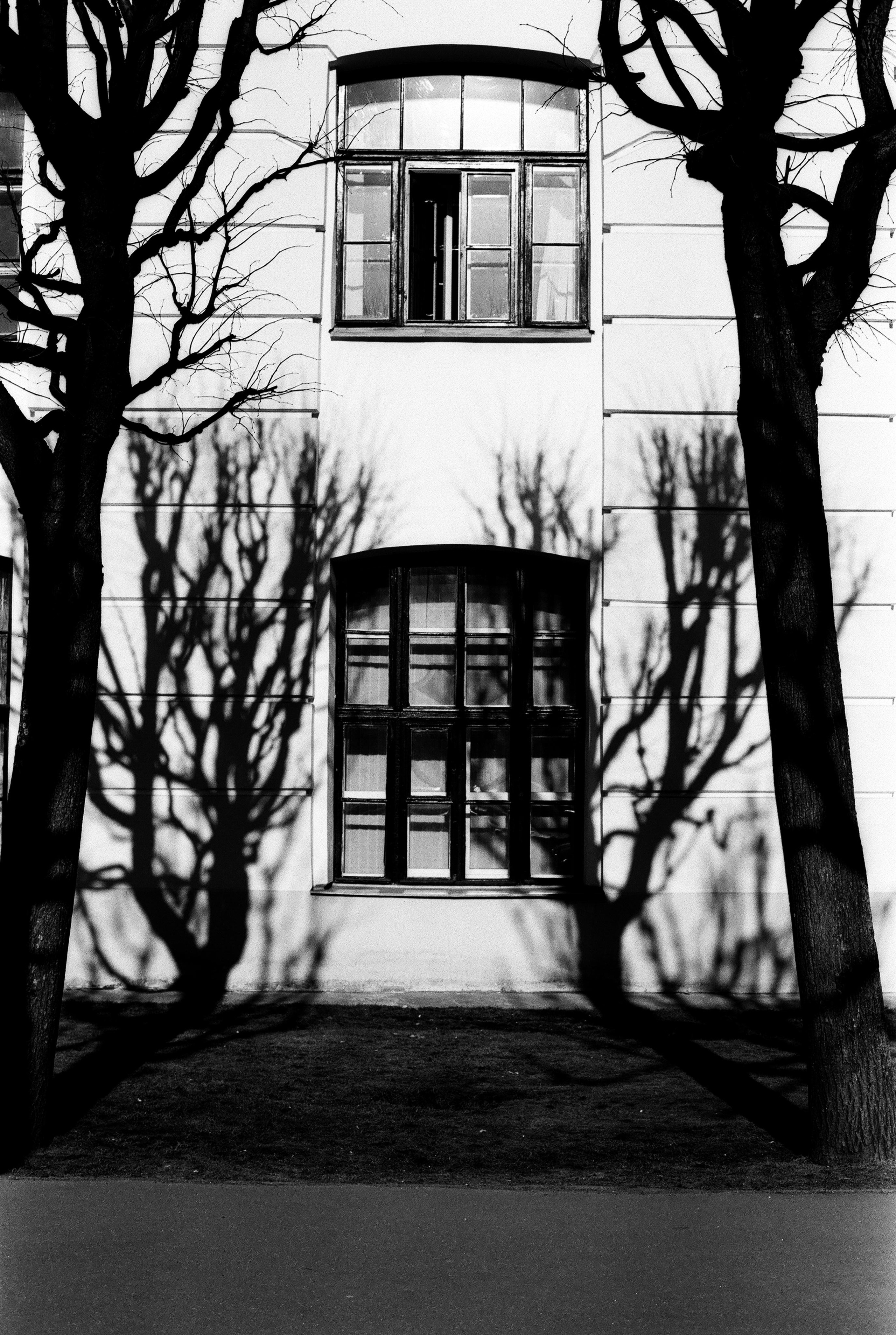 Фотографии черно-белые. Свадебный и семейный пленочный фотограф в Петербурге Истомина Ирина