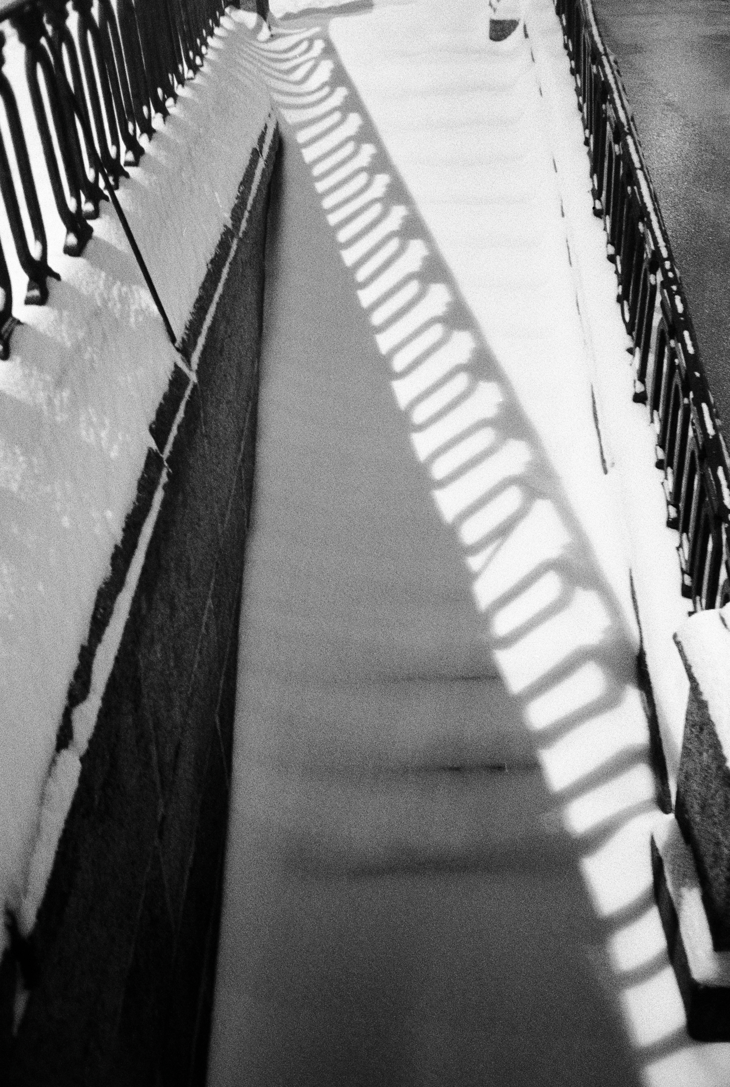 Фотографии черно-белые. Свадебный и семейный пленочный фотограф в Петербурге Истомина Ирина