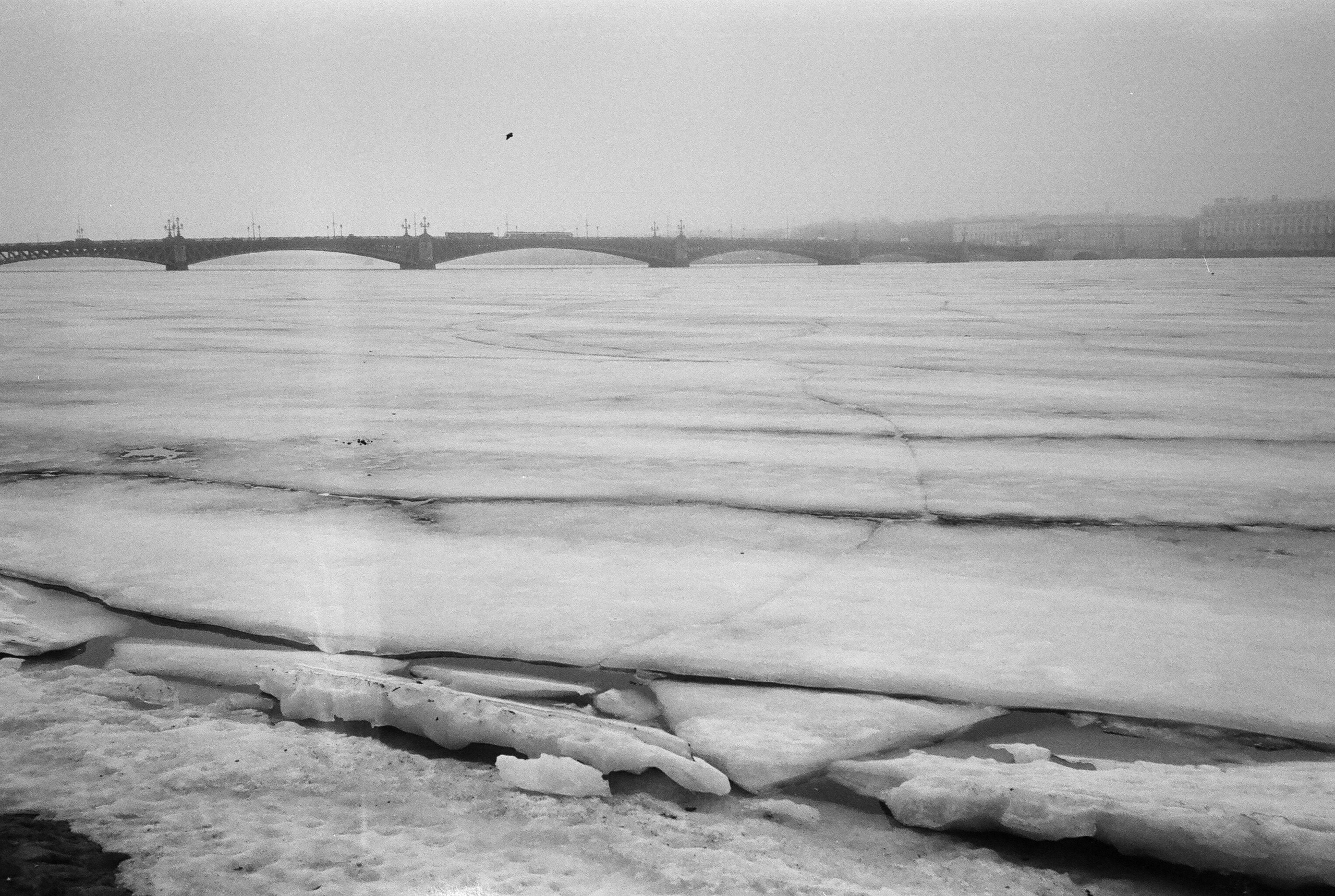Фотографии черно-белые. Свадебный и семейный пленочный фотограф в Петербурге Истомина Ирина