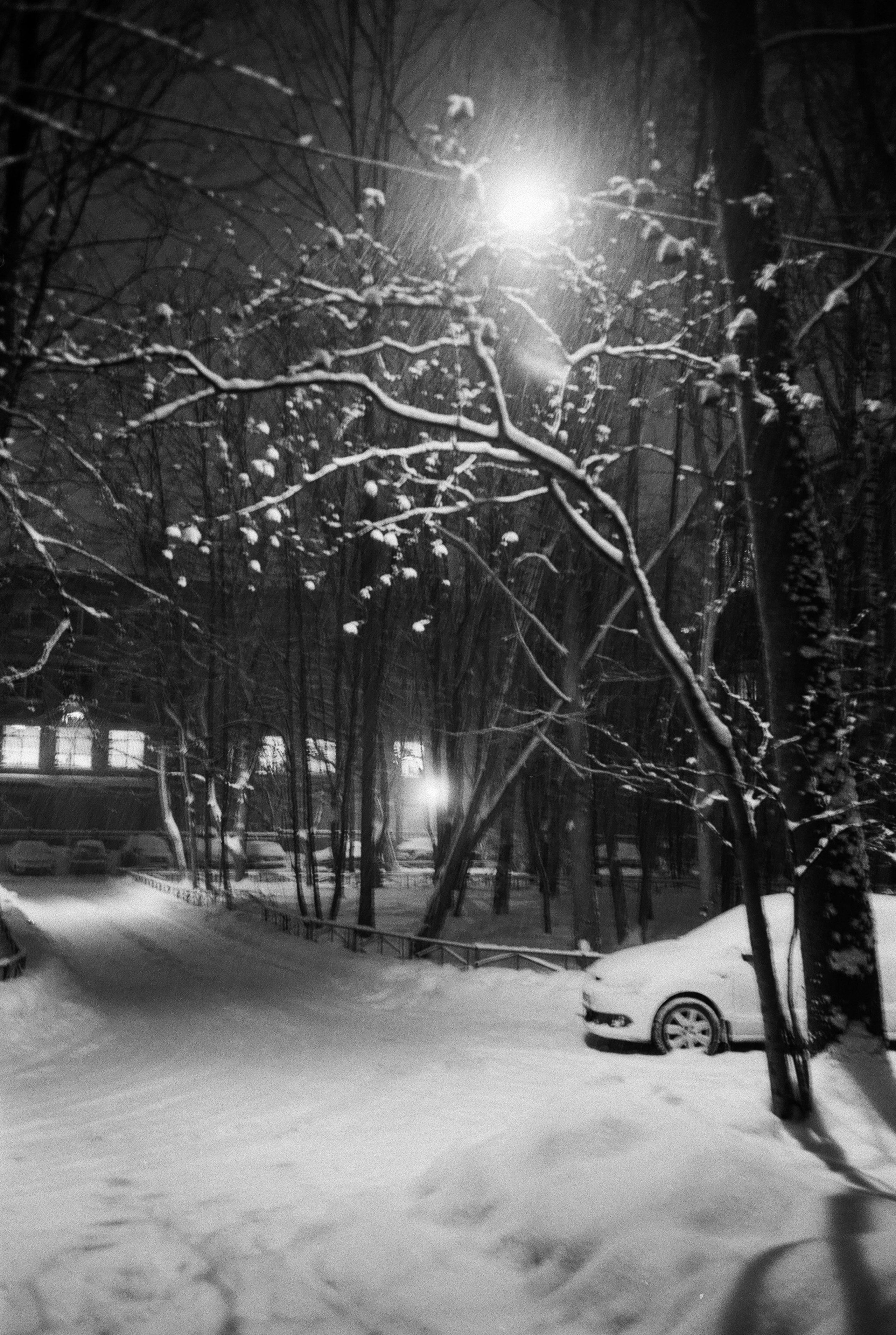 Фотографии черно-белые. Свадебный и семейный пленочный фотограф в Петербурге Истомина Ирина