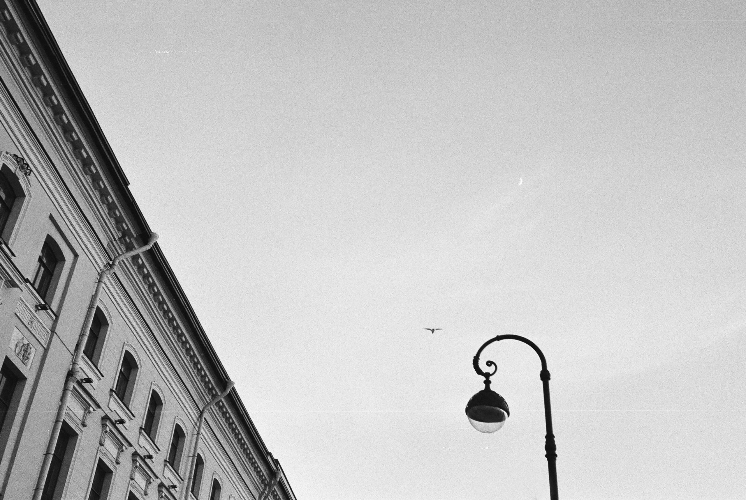 Фотографии черно-белые. Свадебный и семейный пленочный фотограф в Петербурге Истомина Ирина