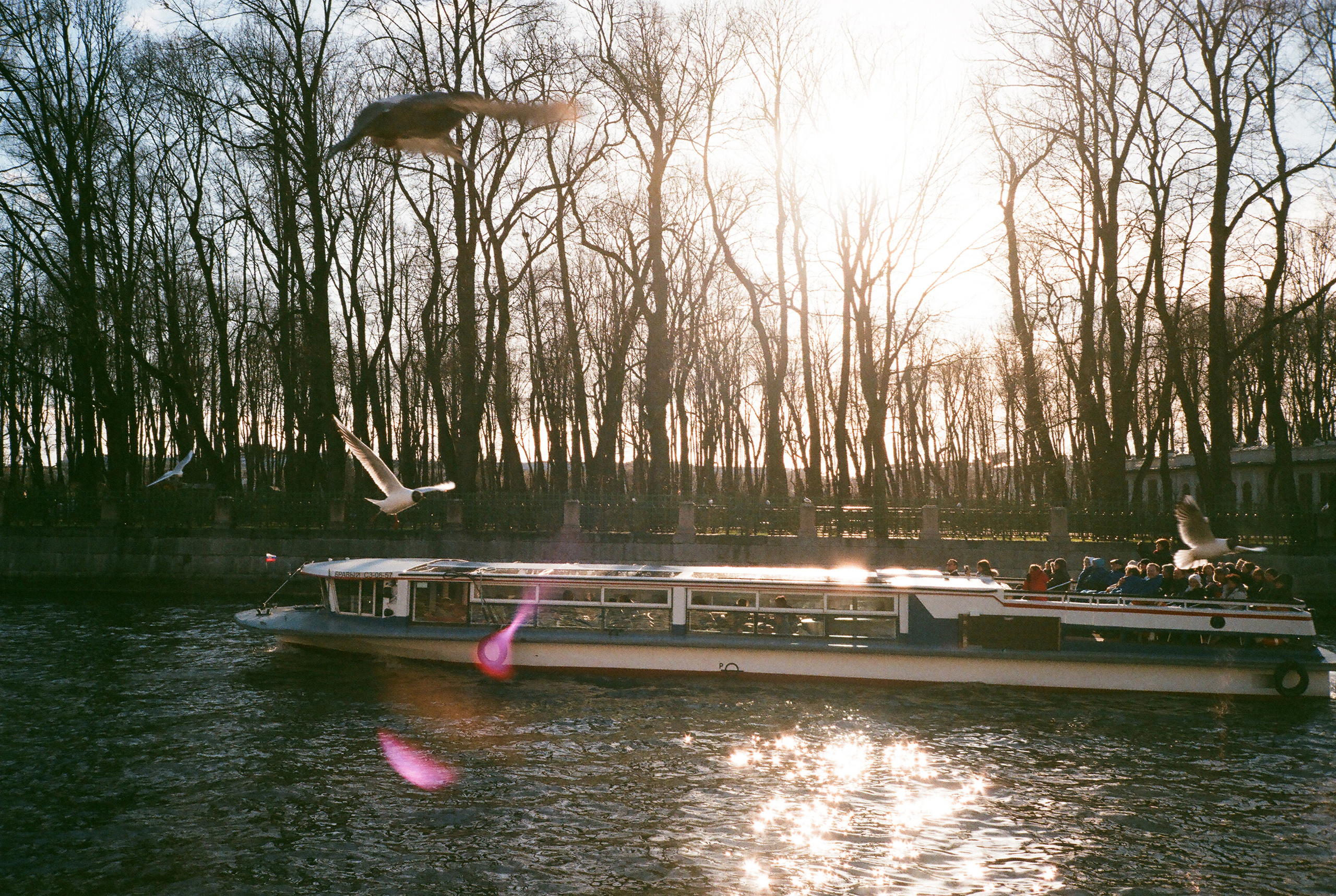 Фотографии цветные. Свадебный и семейный пленочный фотограф в Петербурге Истомина Ирина