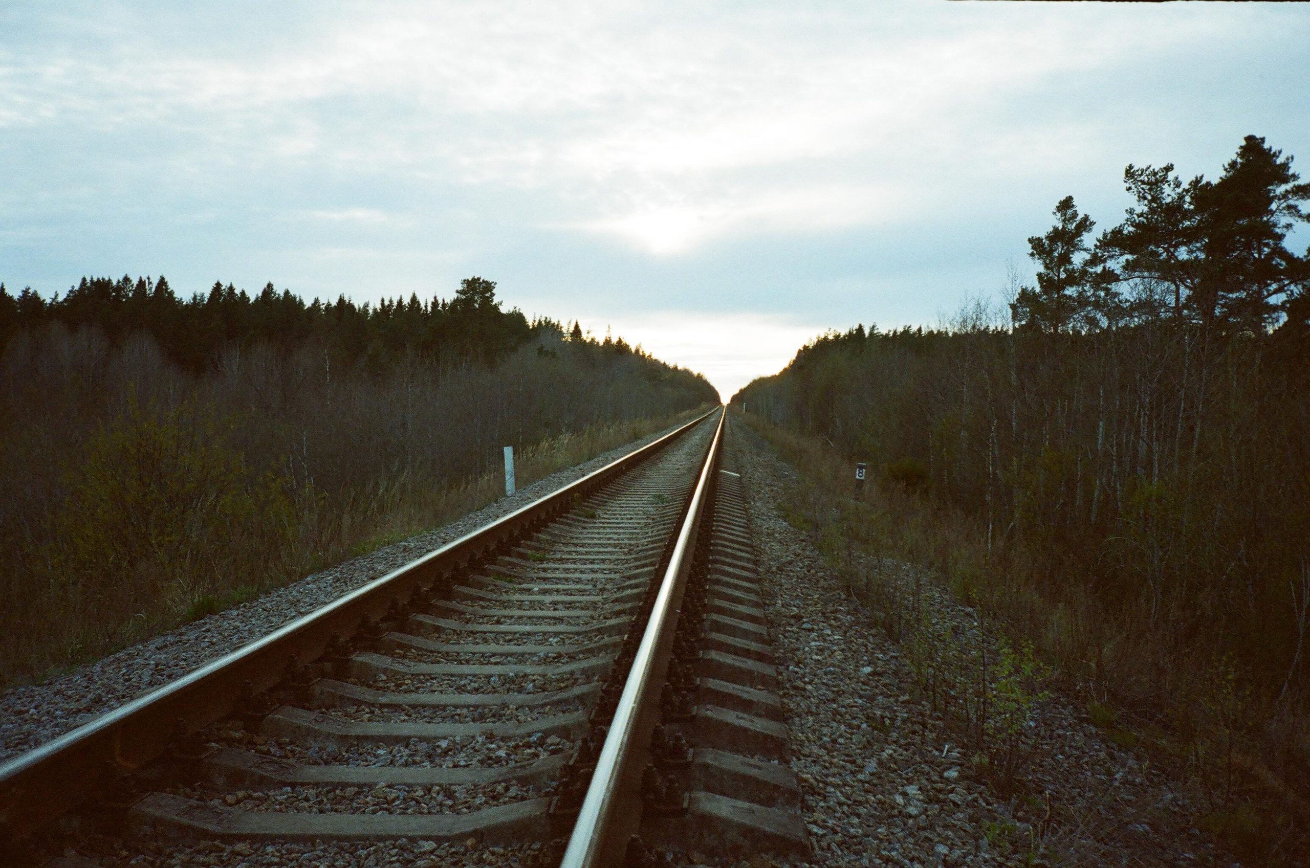 Фотографии цветные. Свадебный и семейный пленочный фотограф в Петербурге Истомина Ирина