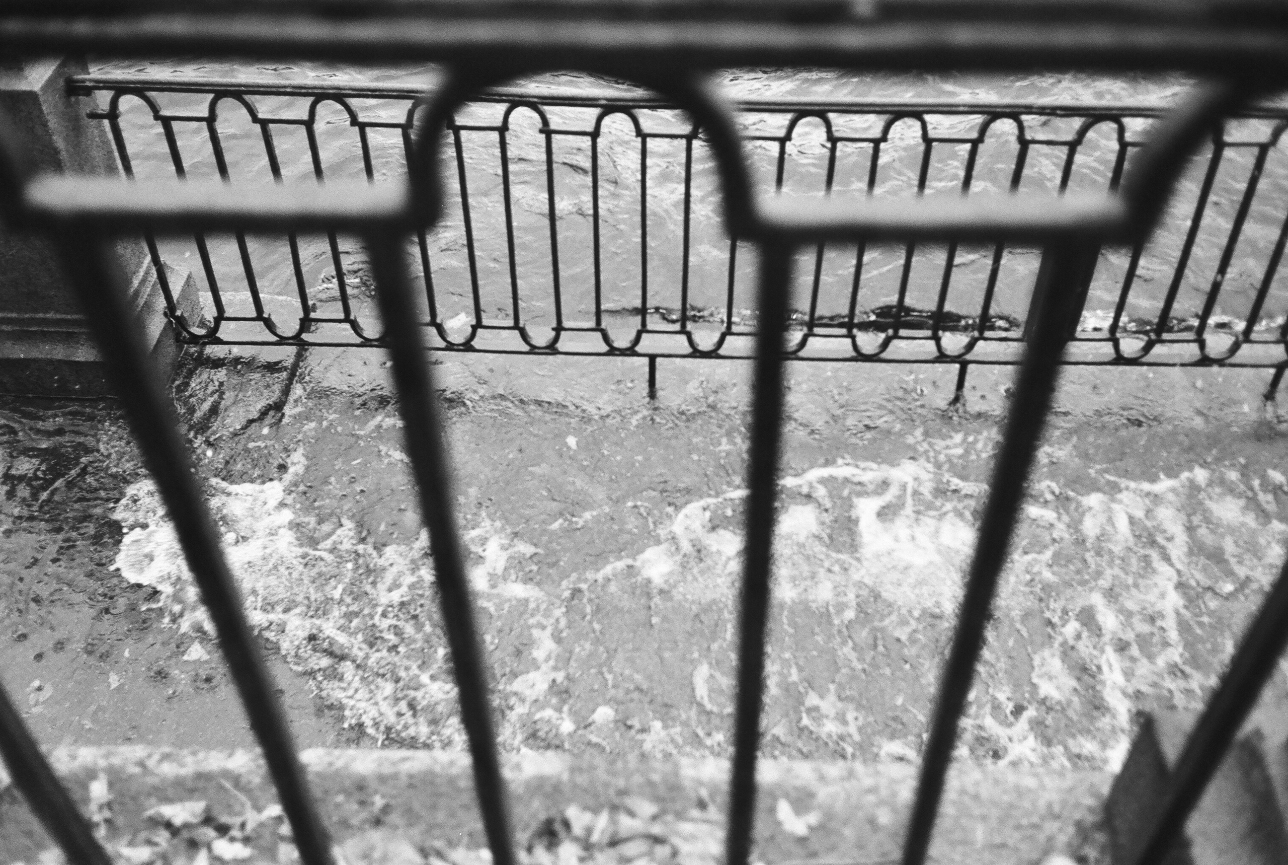 Фотографии черно-белые. Свадебный и семейный пленочный фотограф в Петербурге Истомина Ирина