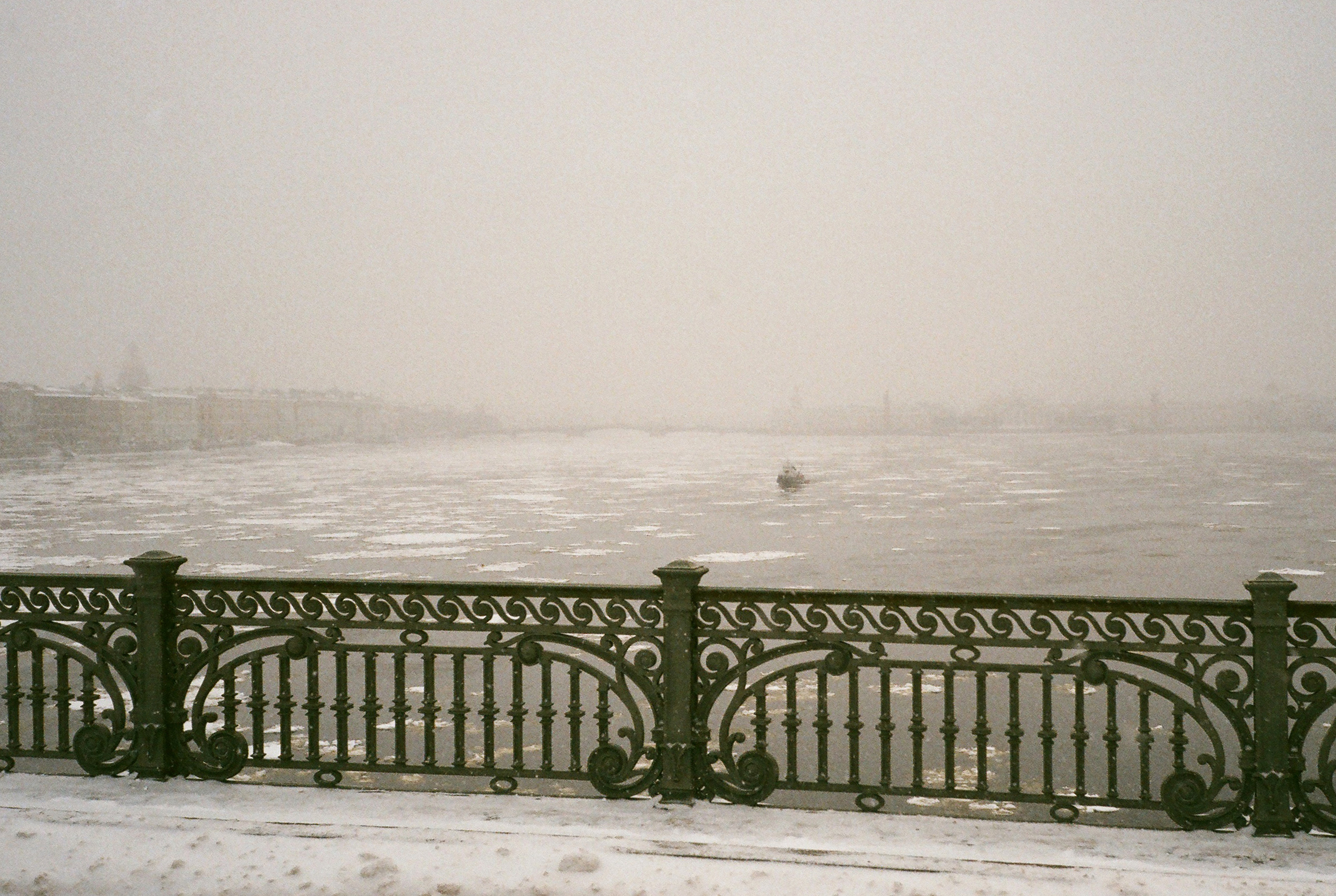 Фотографии цветные. Свадебный и семейный пленочный фотограф в Петербурге Истомина Ирина