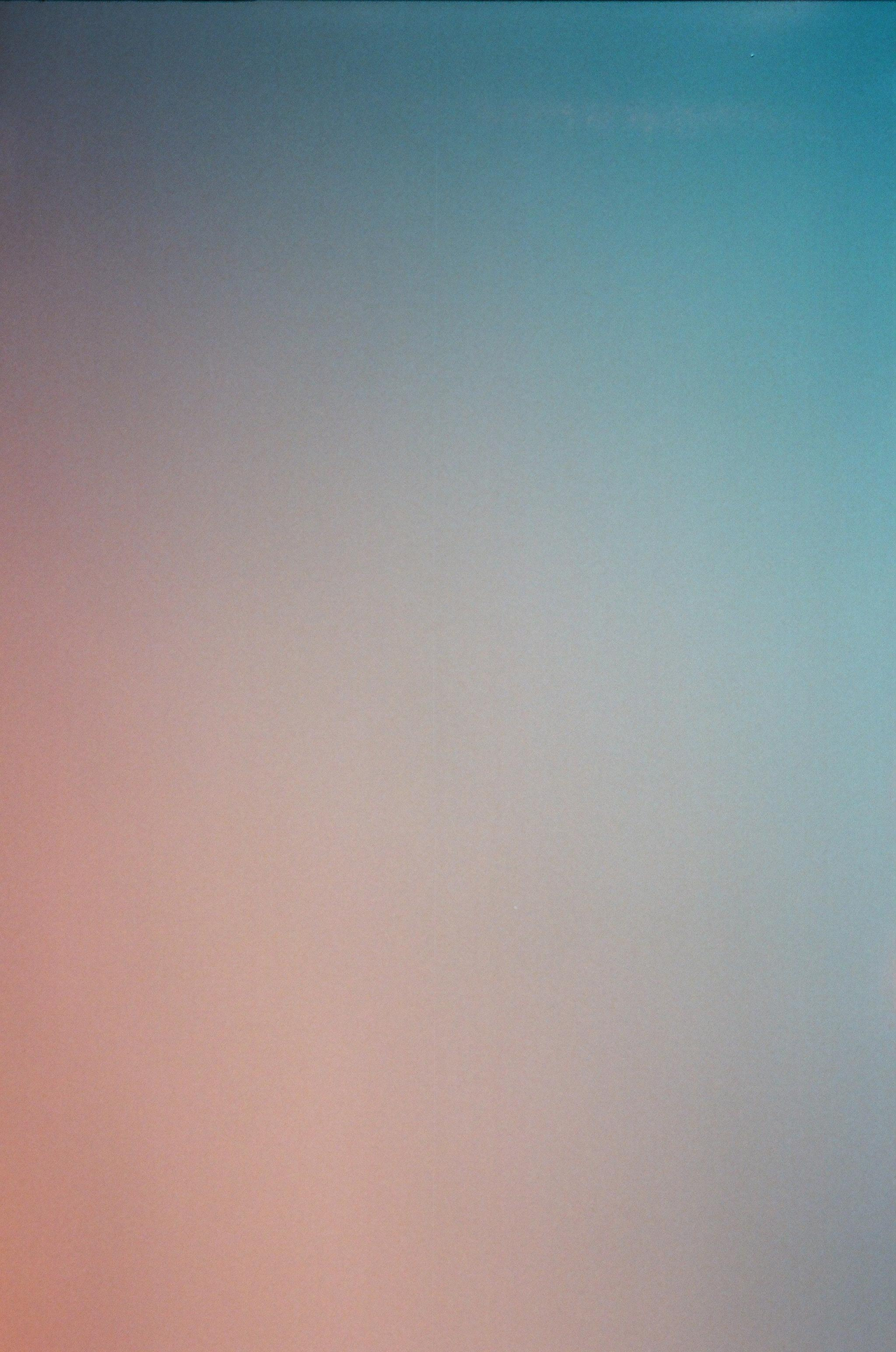 Фотографии цветные. Свадебный и семейный пленочный фотограф в Петербурге Истомина Ирина