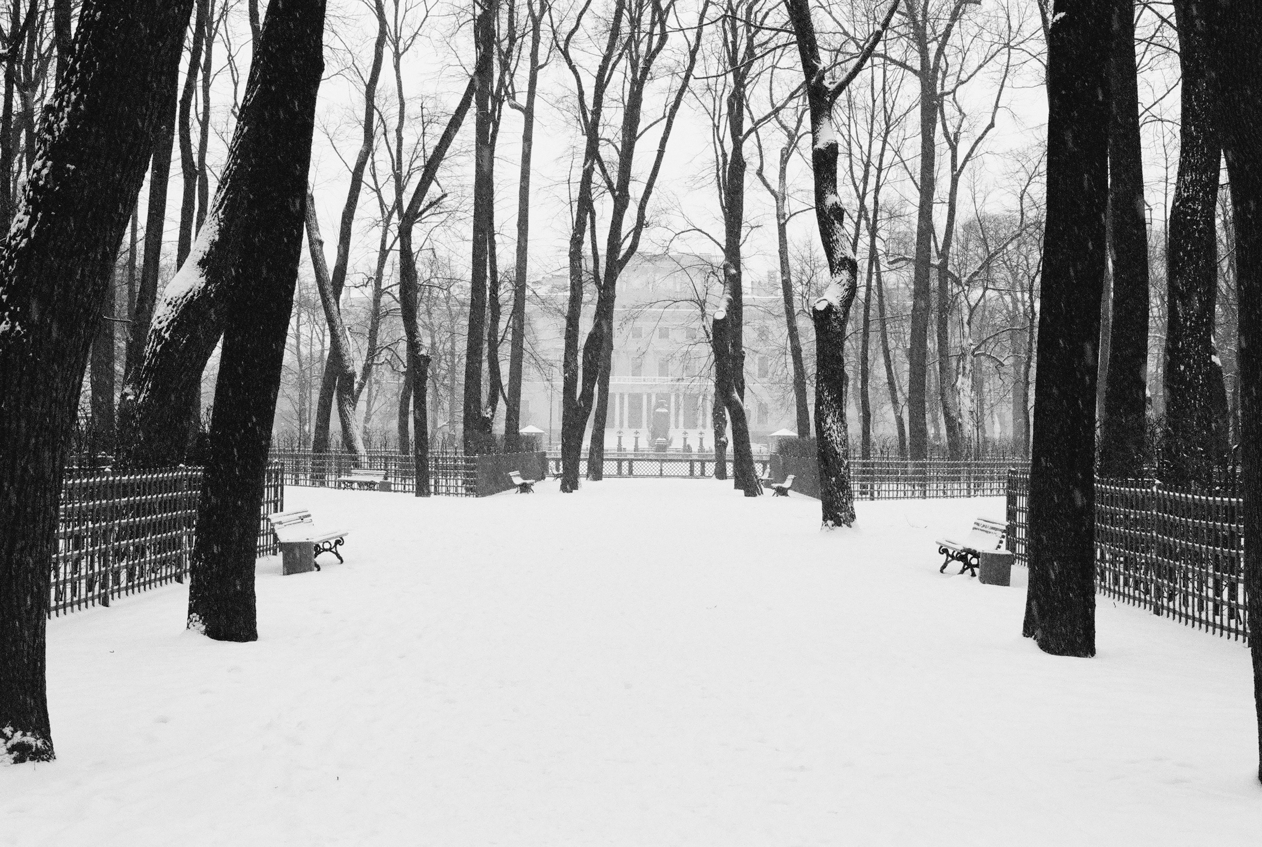 Фотографии черно-белые. Свадебный и семейный пленочный фотограф в Петербурге Истомина Ирина