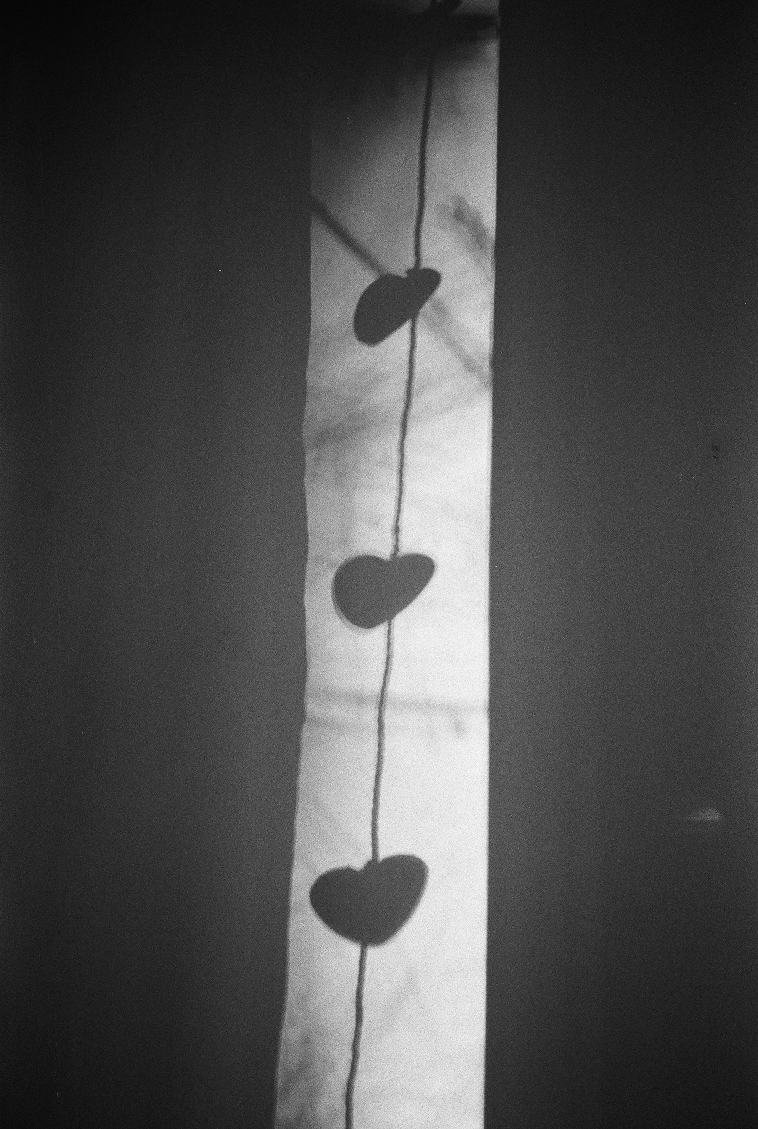 Фотографии черно-белые. Свадебный и семейный пленочный фотограф в Петербурге Истомина Ирина