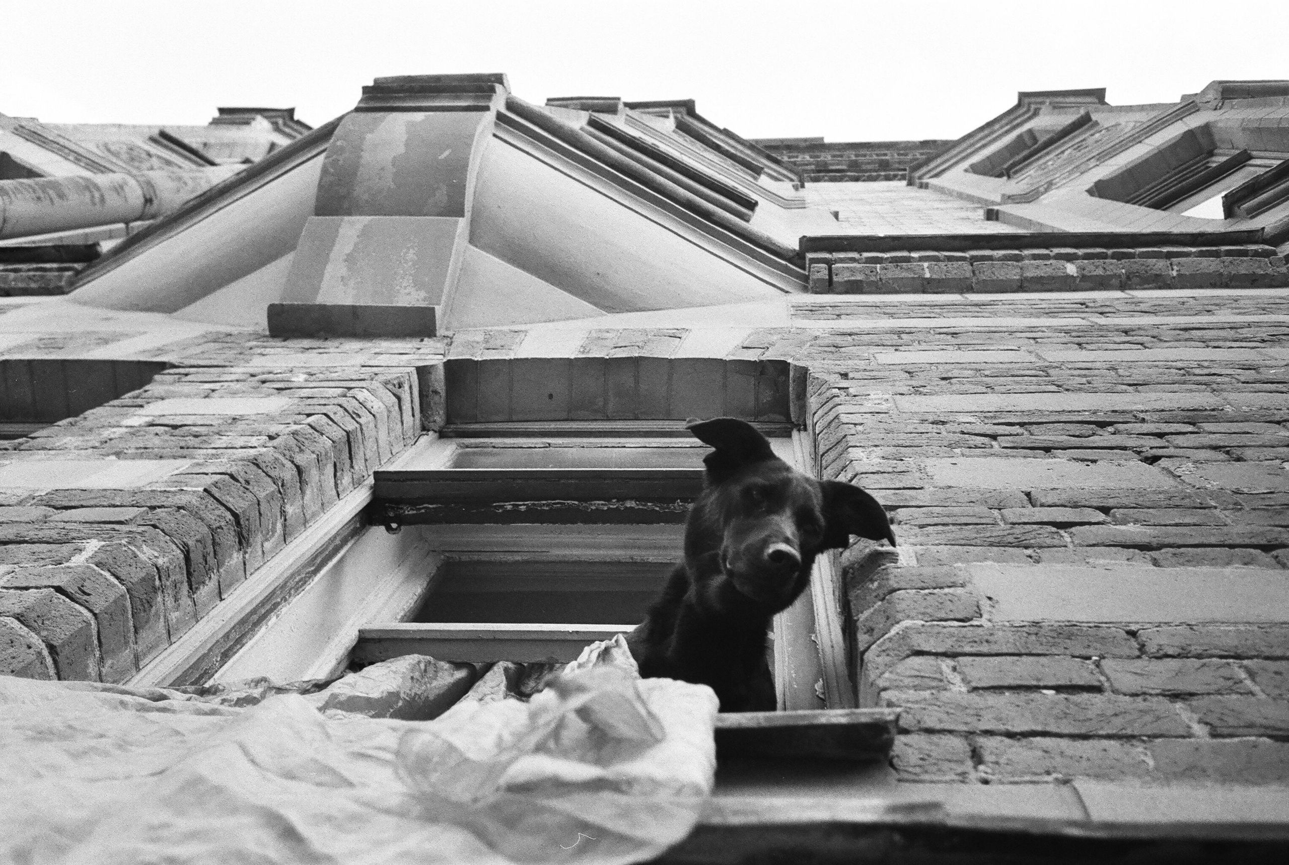 Фотографии черно-белые. Свадебный и семейный пленочный фотограф в Петербурге Истомина Ирина