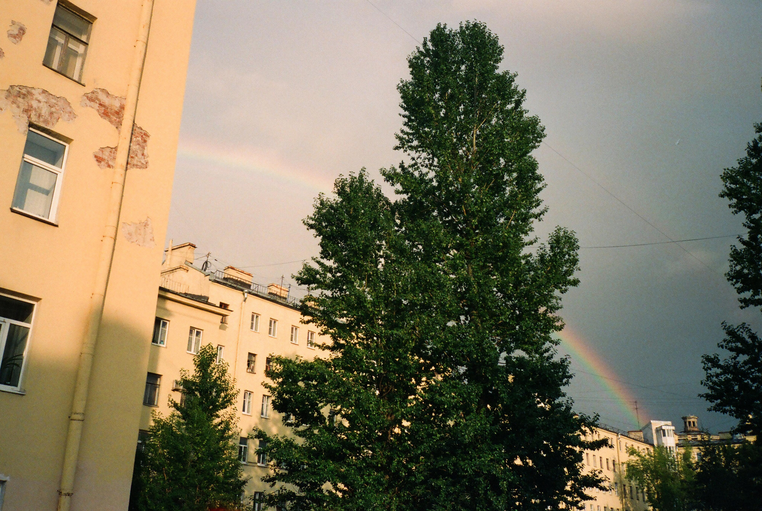 Фотографии цветные. Свадебный и семейный пленочный фотограф в Петербурге Истомина Ирина