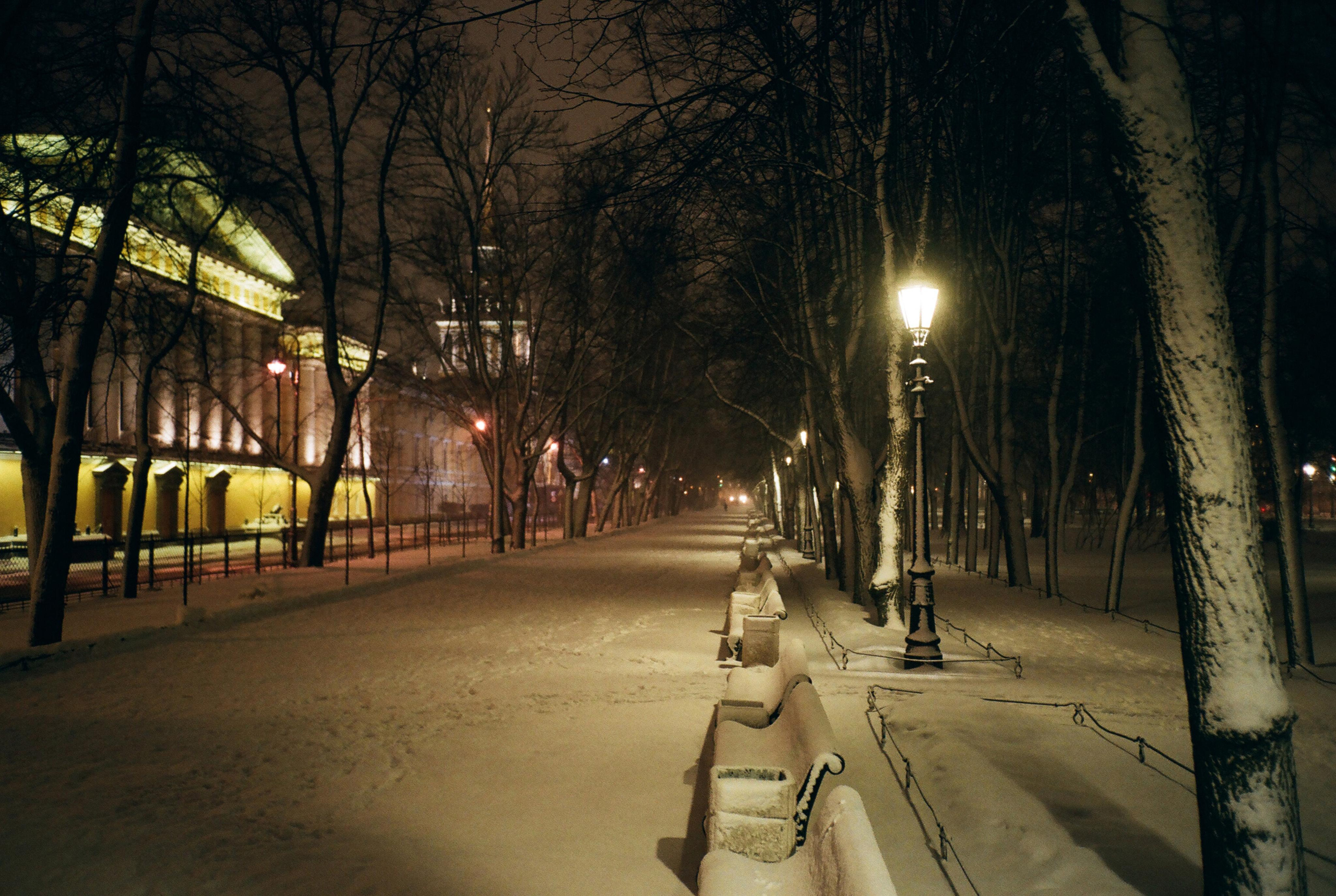 Фотографии цветные. Свадебный и семейный пленочный фотограф в Петербурге Истомина Ирина