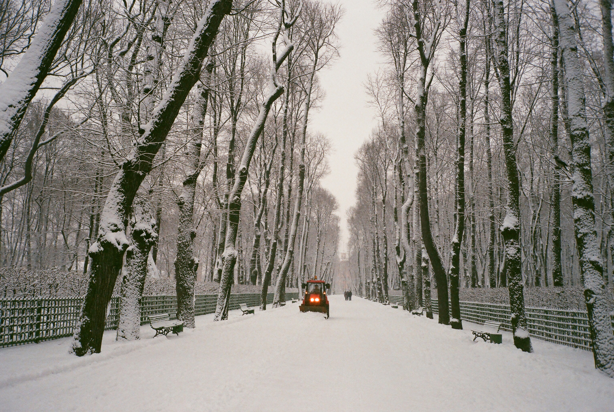 Фотографии цветные. Свадебный и семейный пленочный фотограф в Петербурге Истомина Ирина