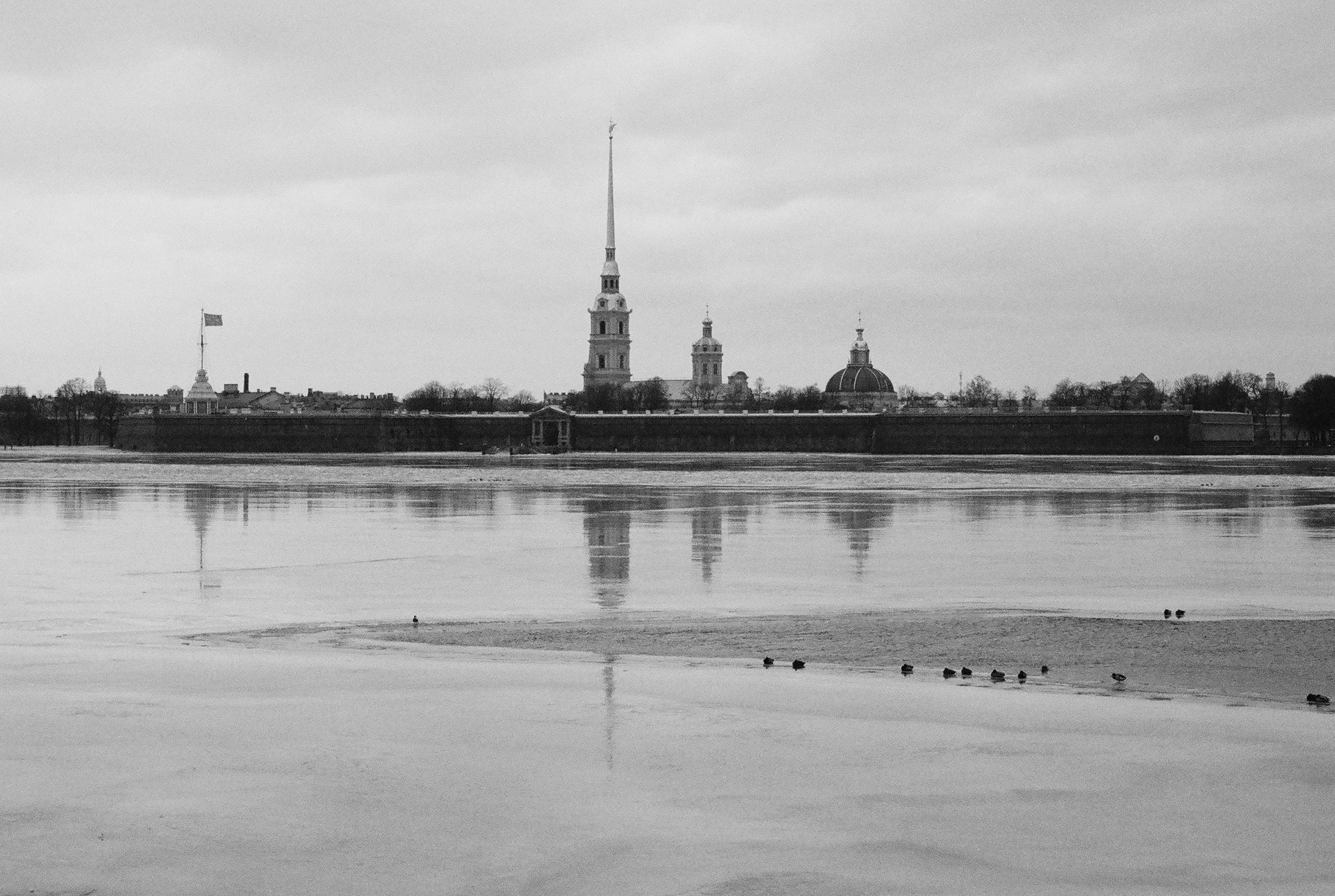 Фотографии черно-белые. Свадебный и семейный пленочный фотограф в Петербурге Истомина Ирина