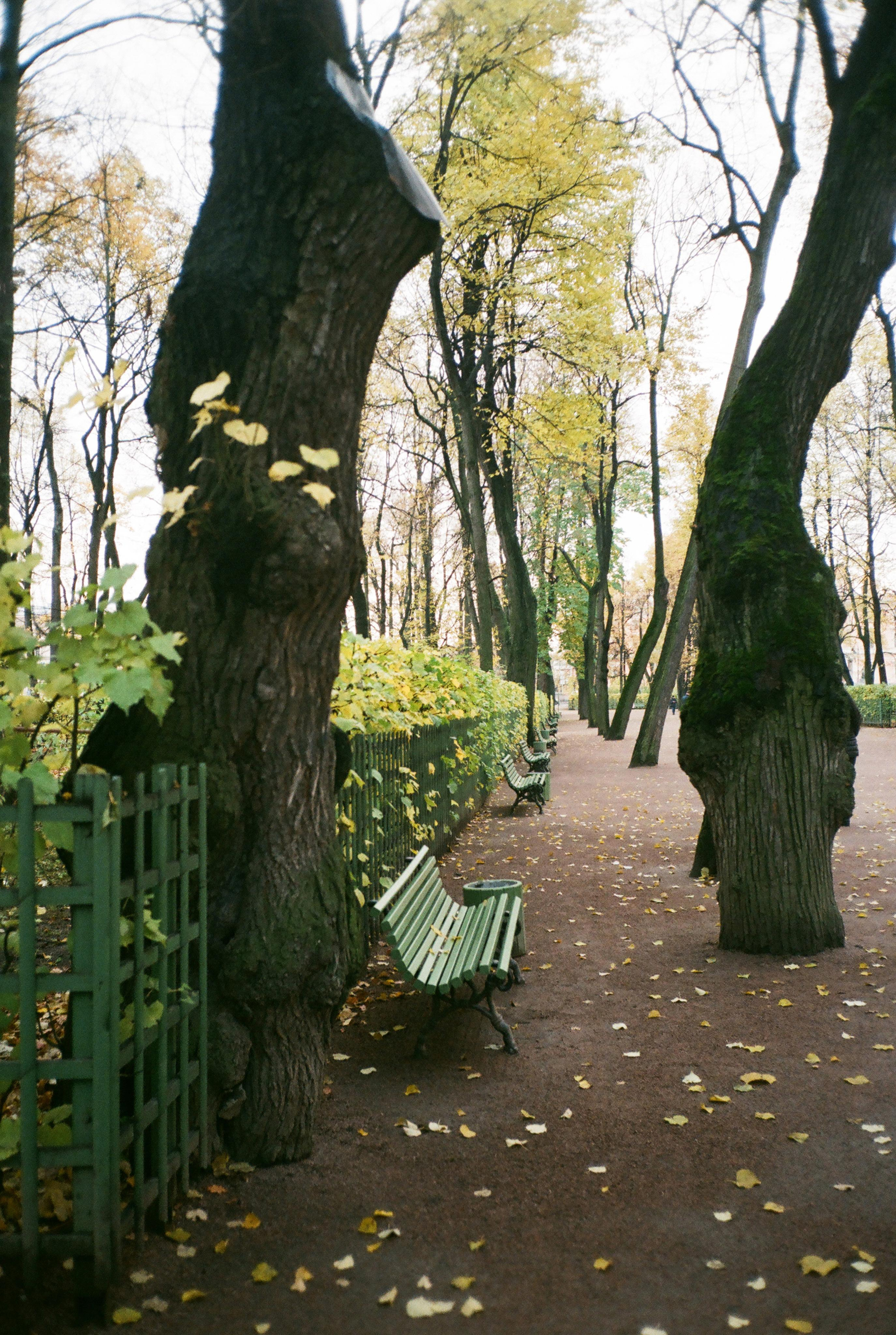Фотографии цветные. Свадебный и семейный пленочный фотограф в Петербурге Истомина Ирина