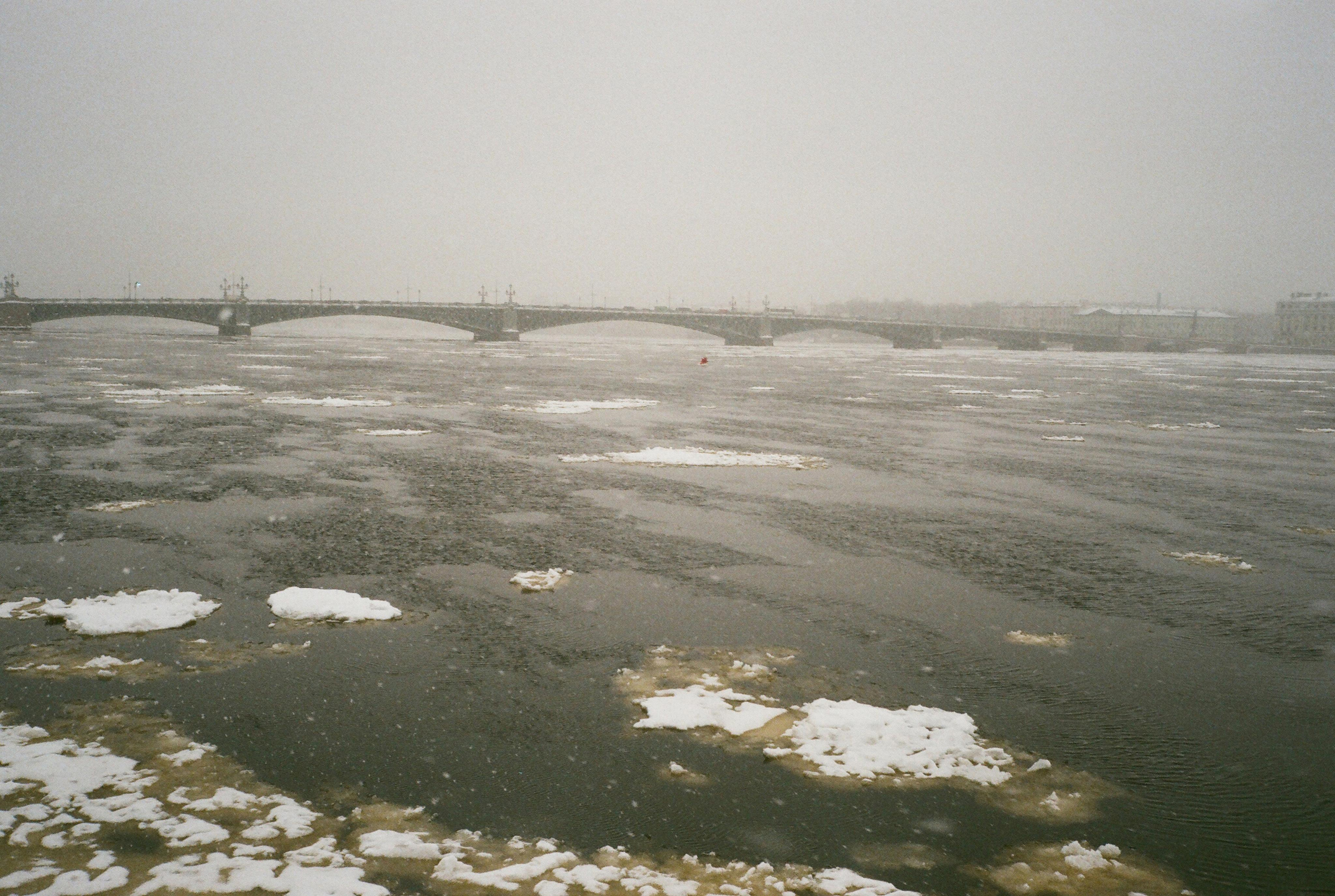 Фотографии цветные. Свадебный и семейный пленочный фотограф в Петербурге Истомина Ирина