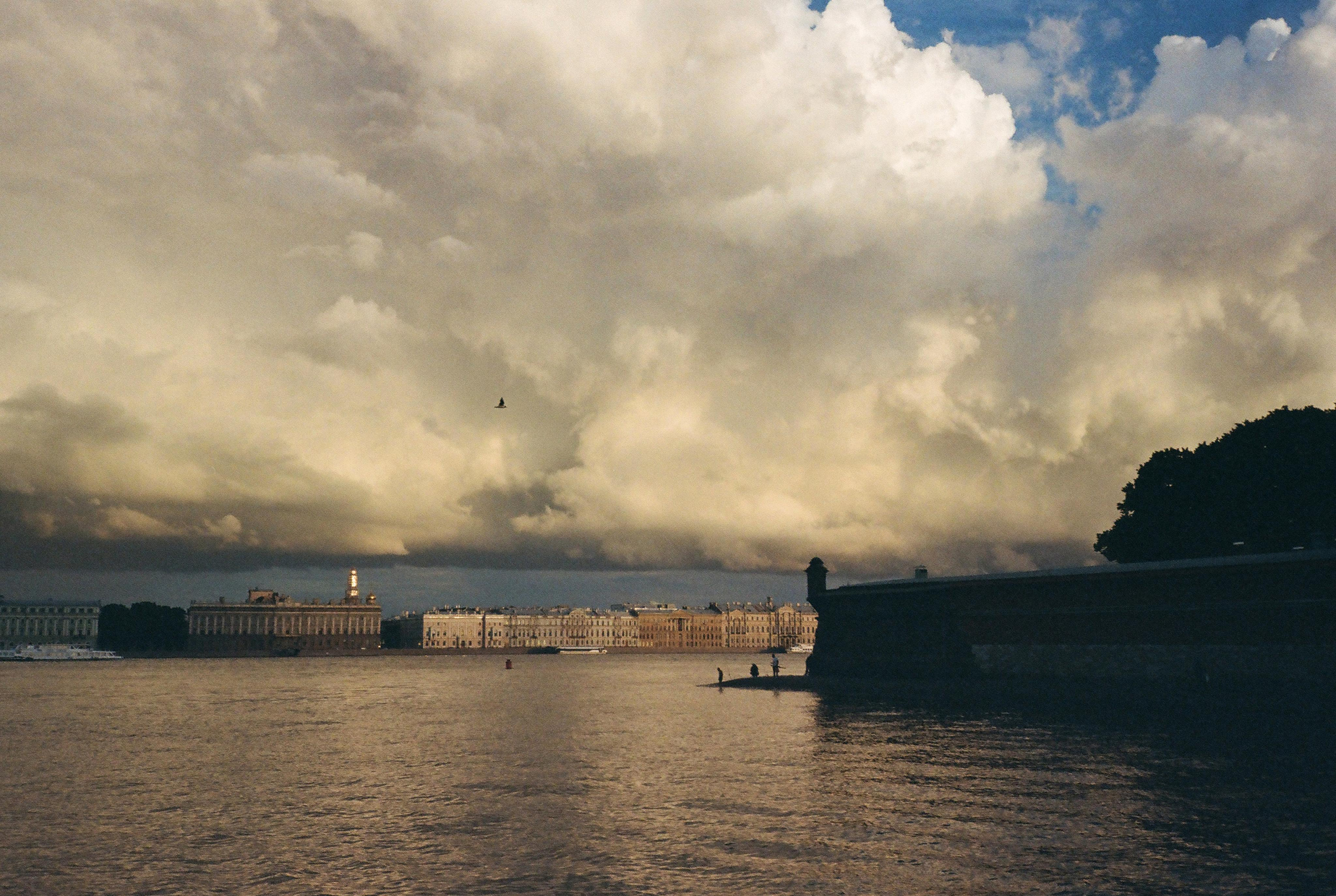 Фотографии цветные. Свадебный и семейный пленочный фотограф в Петербурге Истомина Ирина